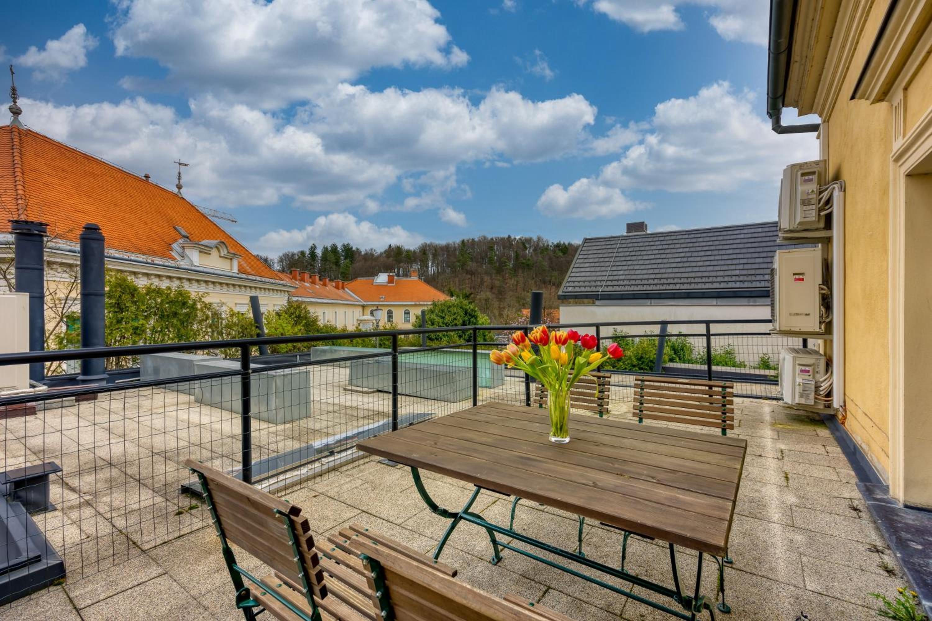 Studio with Terrace photo 1