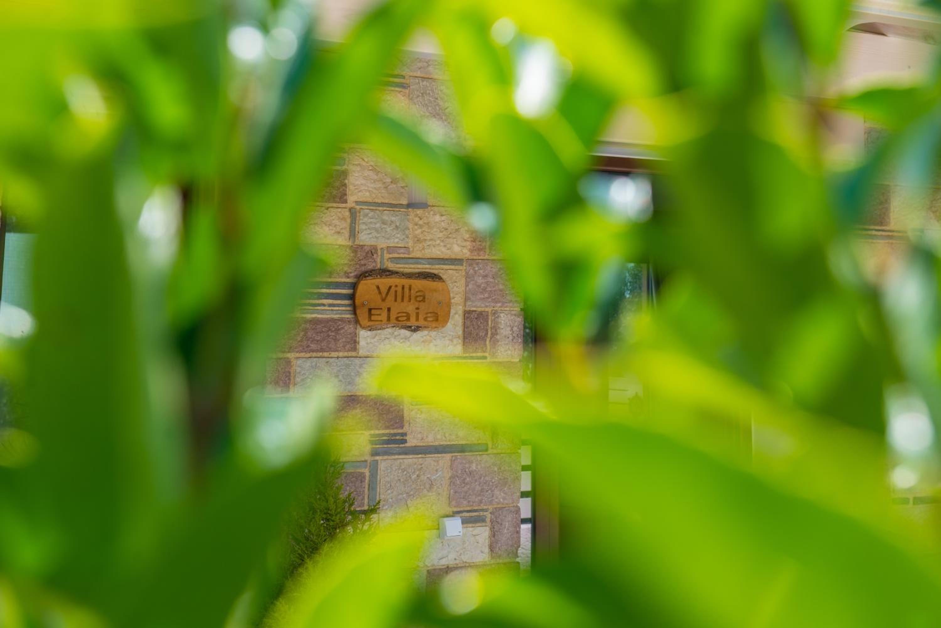 Villa photo 3