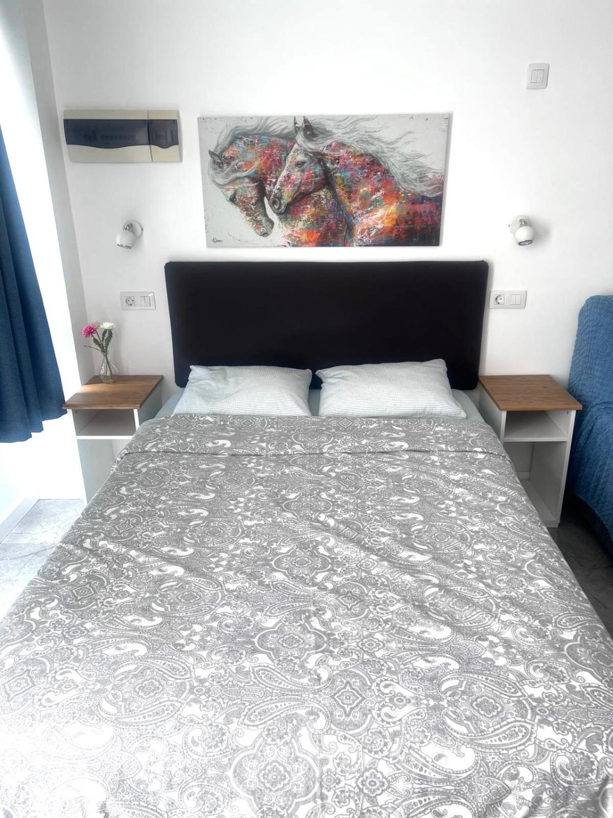 Apartamento Estudio