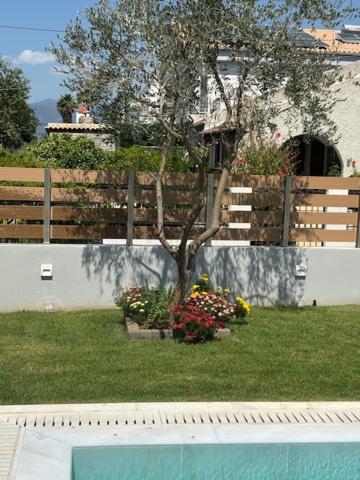Villa photo 3