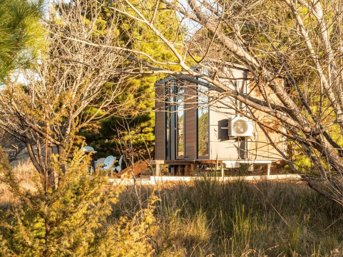 Mobile Home photo 3