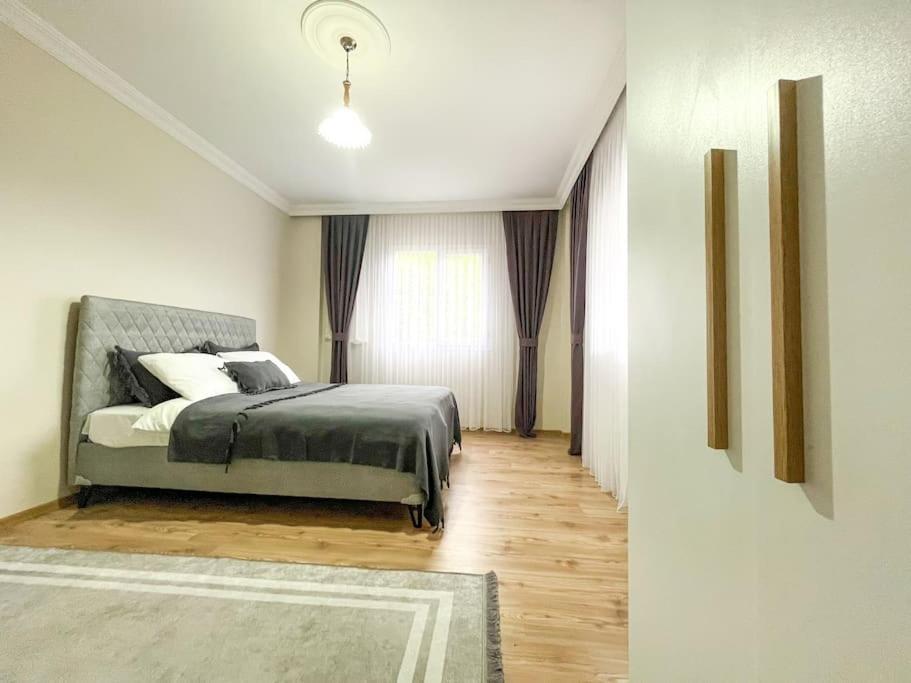 One-Bedroom House photo 1
