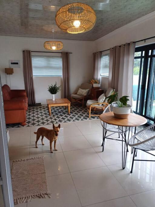 Four-Bedroom House photo 2
