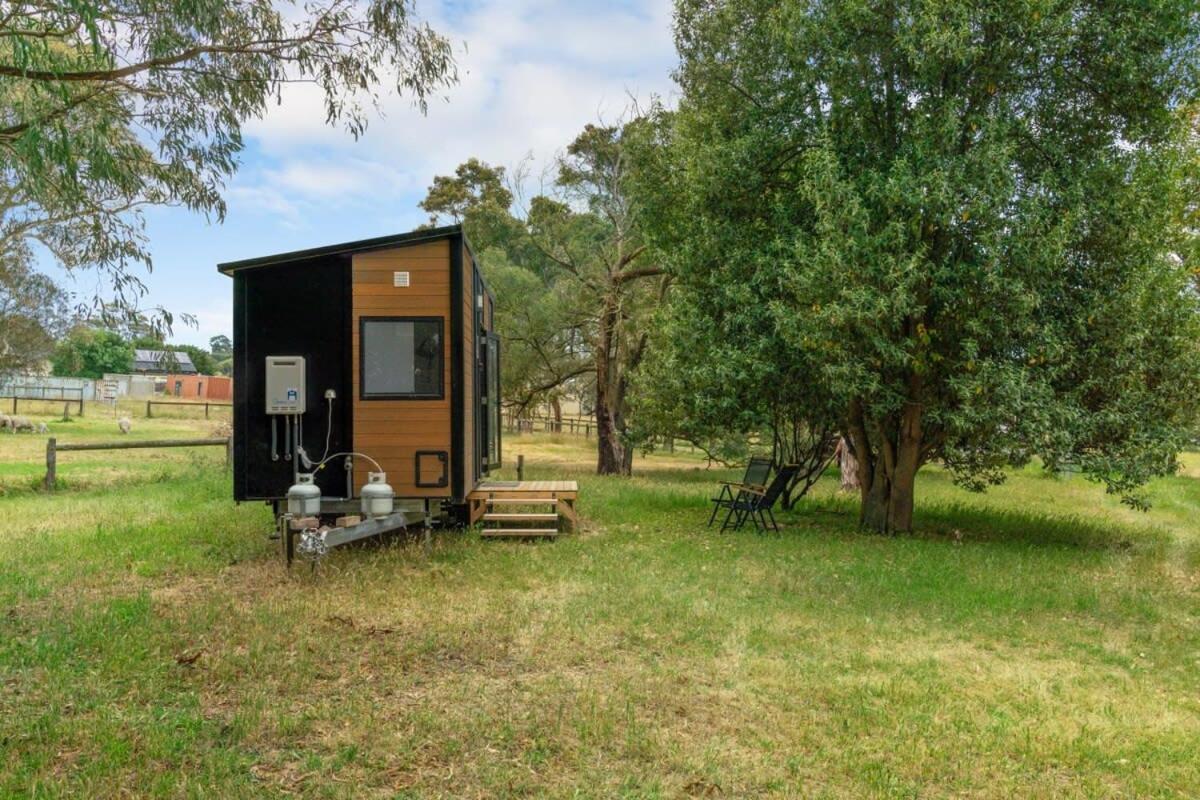 Mobile Home photo 2