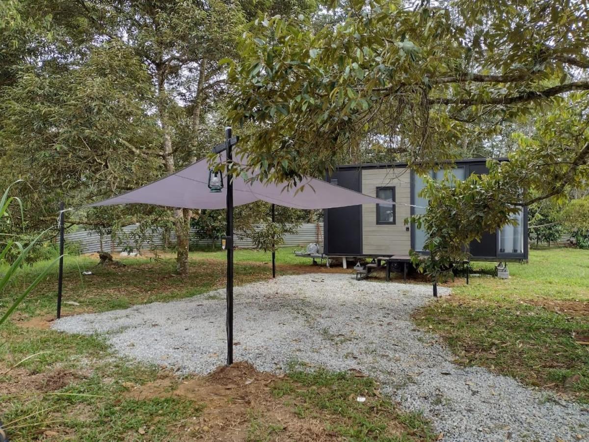 Mobile Home photo 1