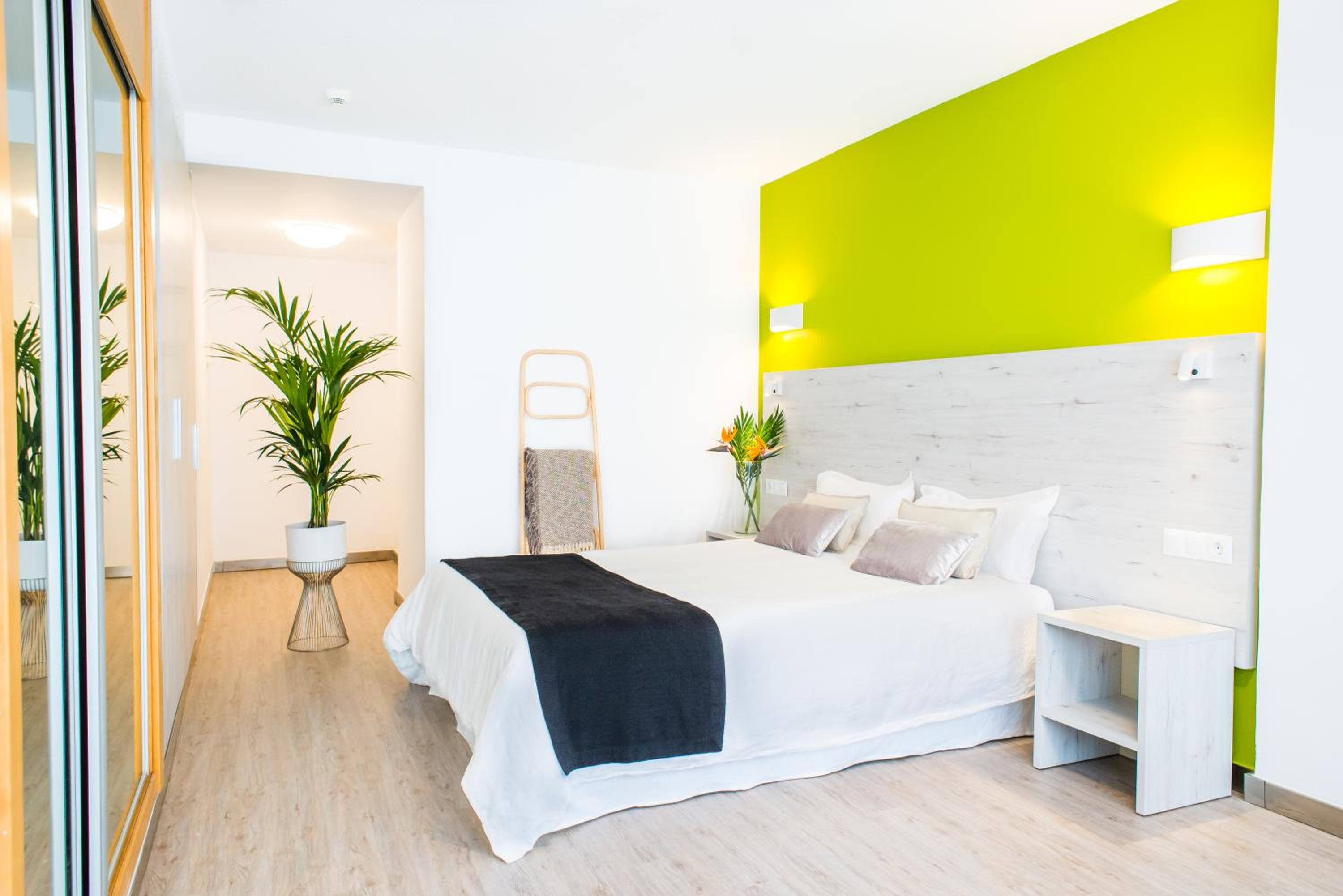 Suite Apartment (3 Adults) - Photo 3
