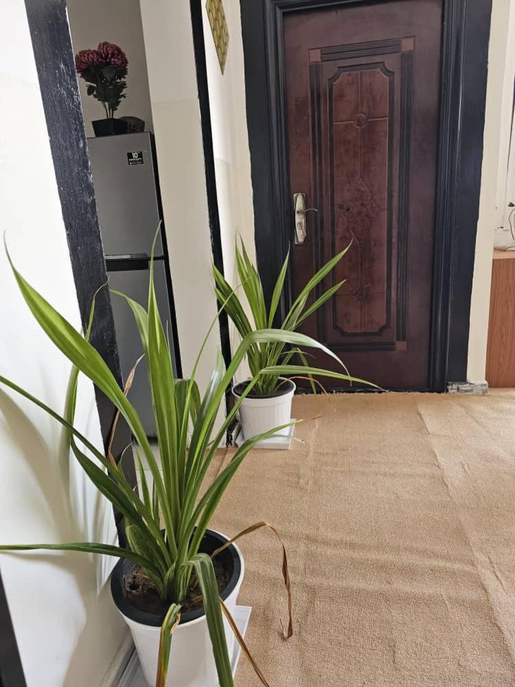 Deluxe Double Room With Balcony And Sea View photo 3