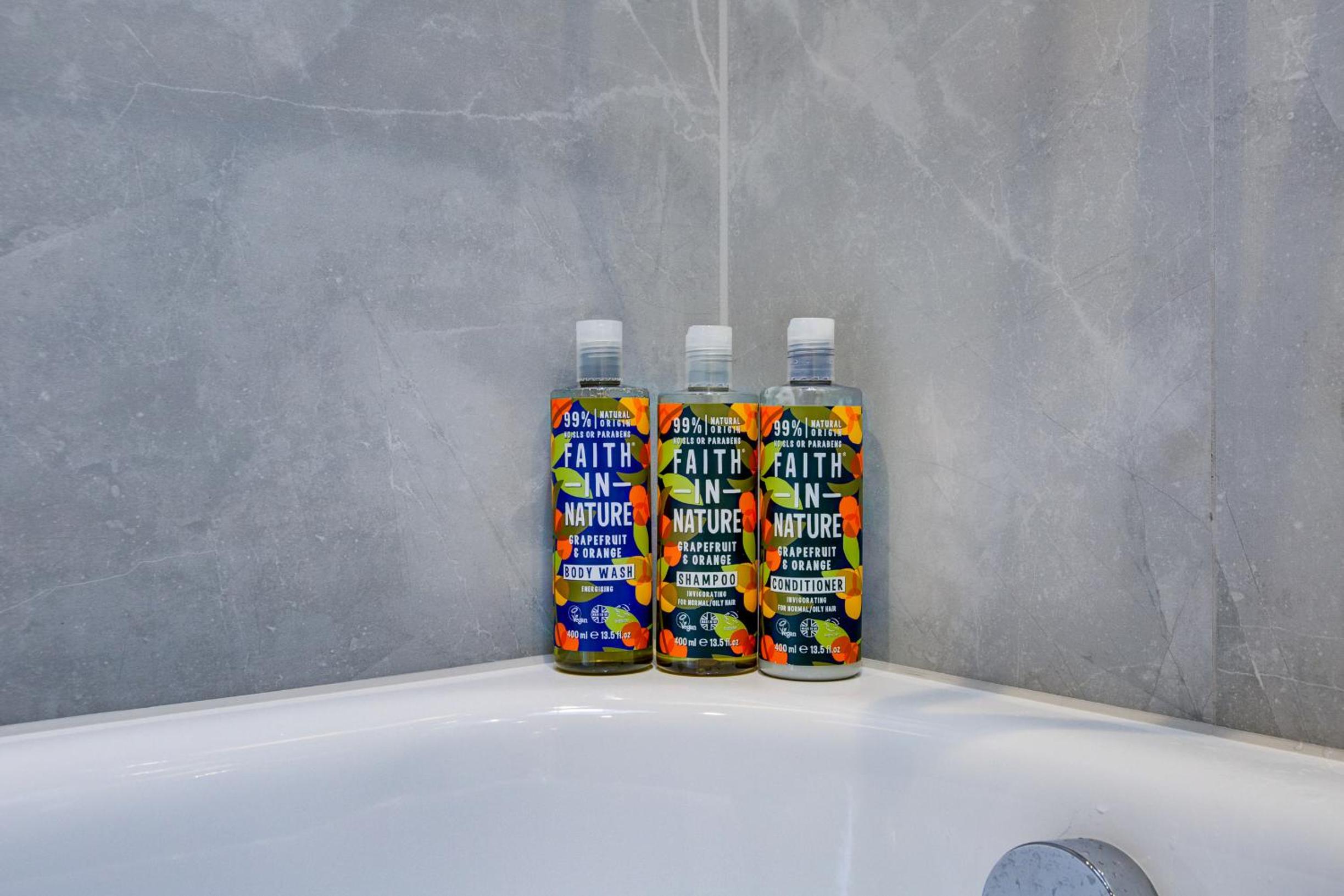 One-Bedroom Premium Apartment photo 2