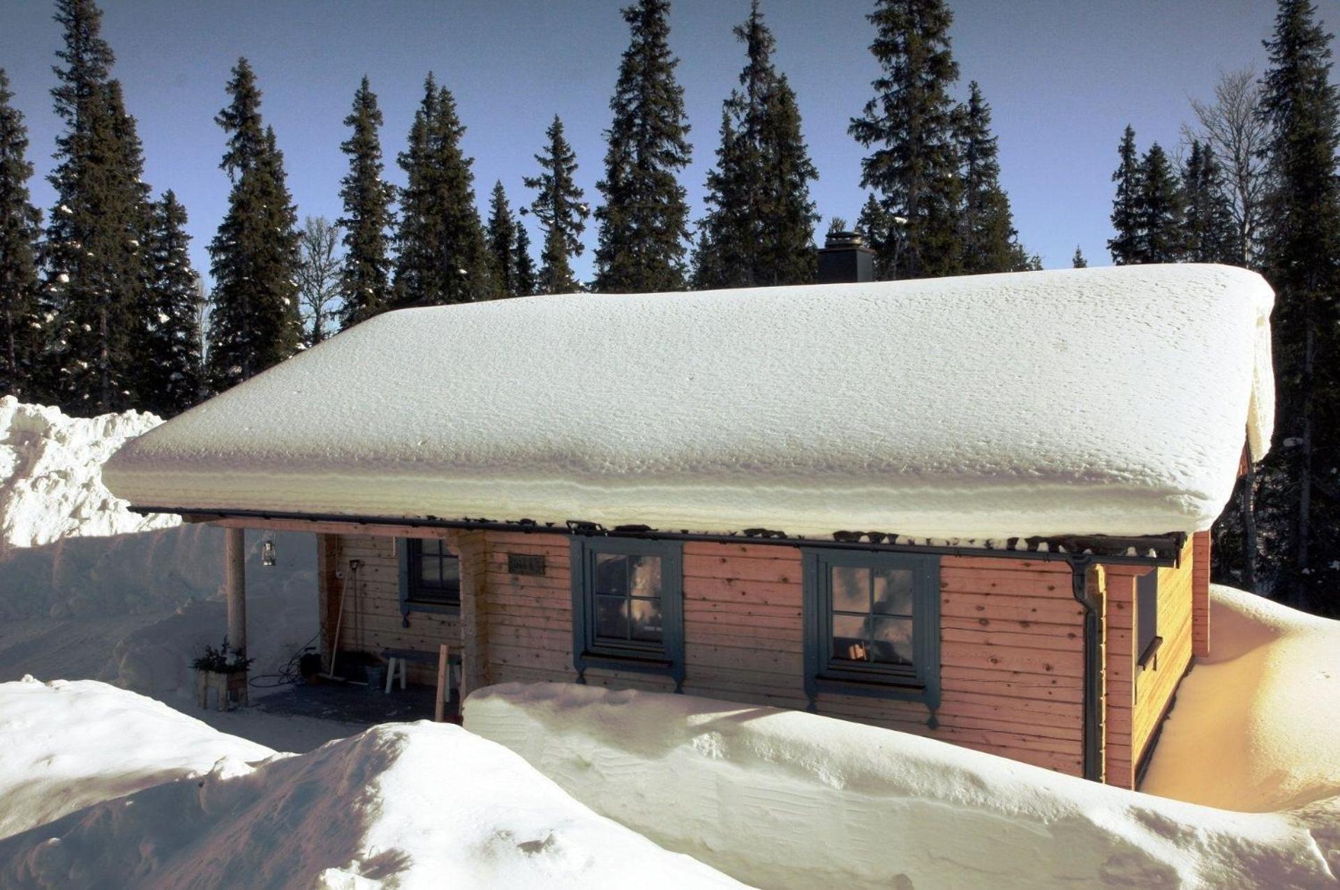 Holiday Home photo 3