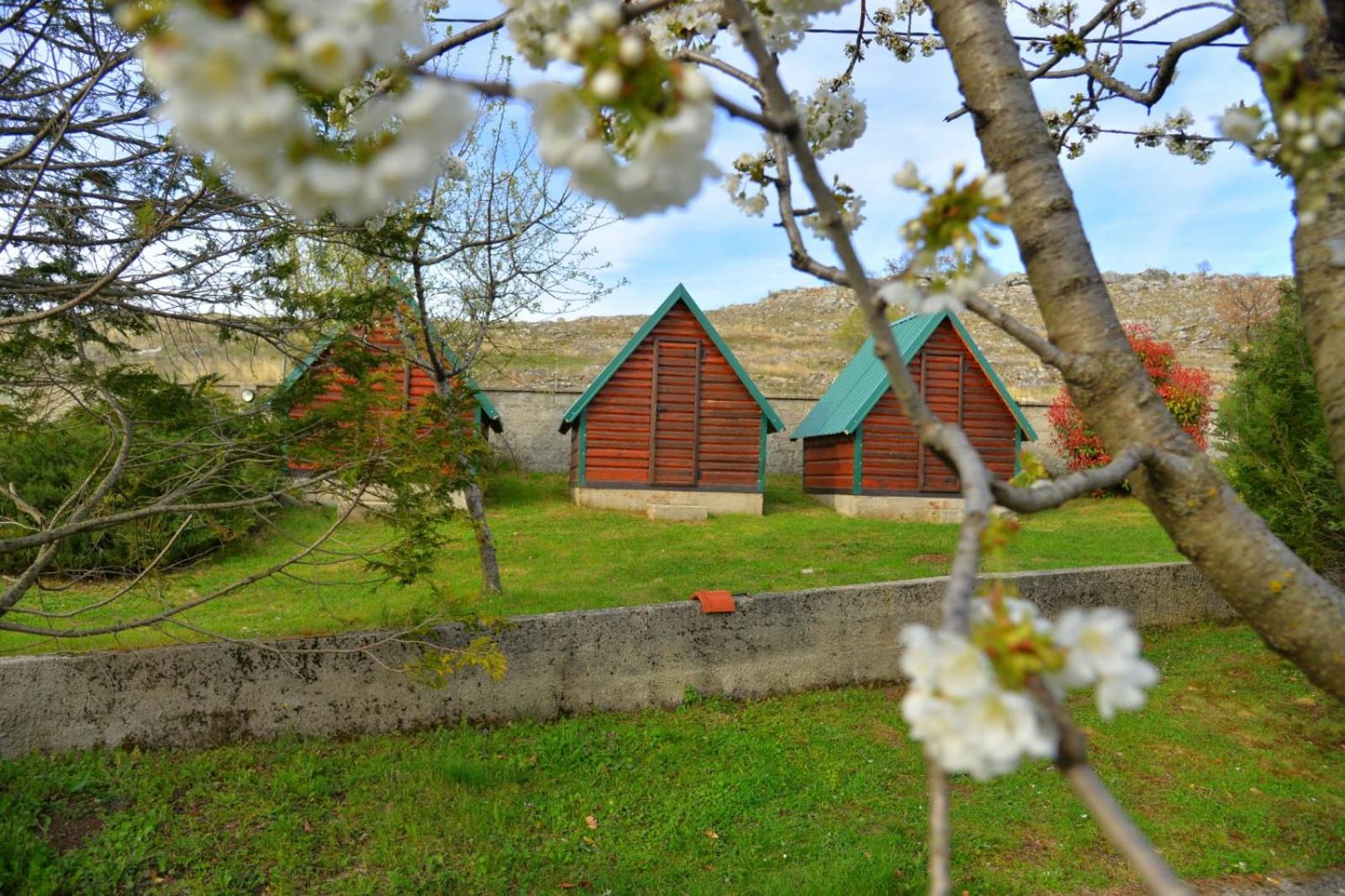 Bungalow photo 3