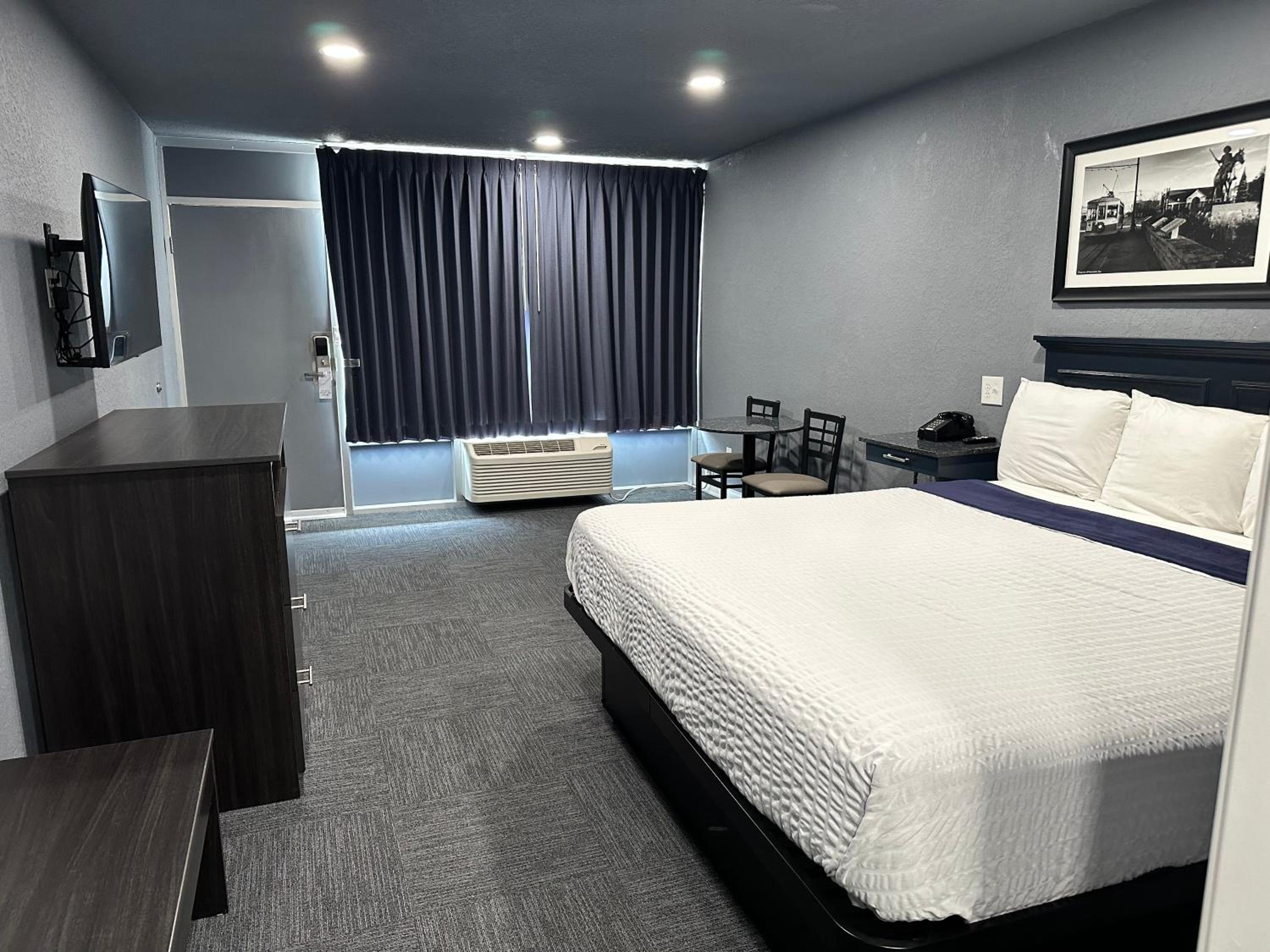 Deluxe King Suite - Photo 1