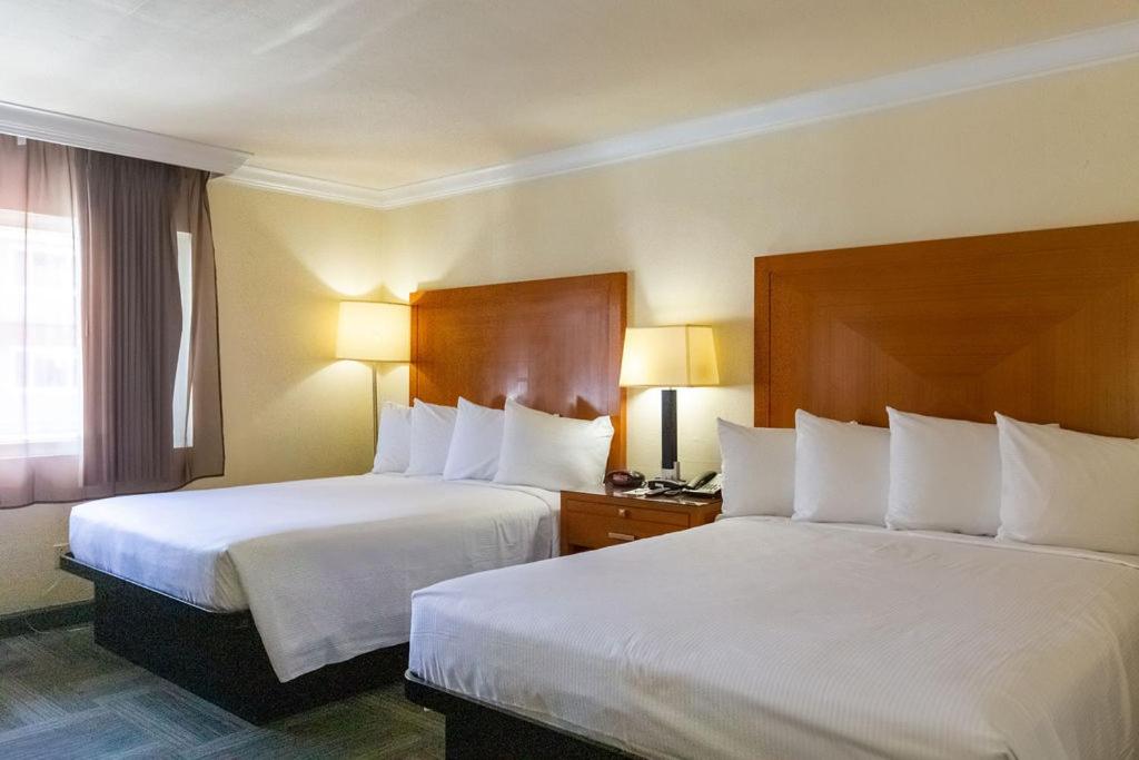 Queen Room with Two Queen Beds - Photo 6