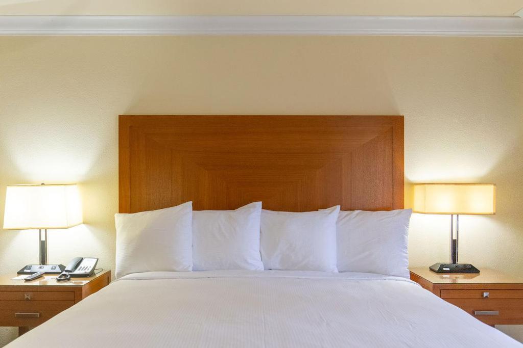 Queen Room - Photo 1