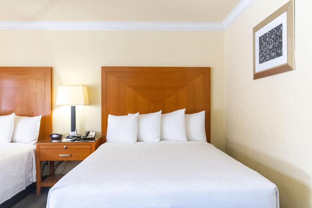 Queen Room with Two Queen Beds - Photo 16