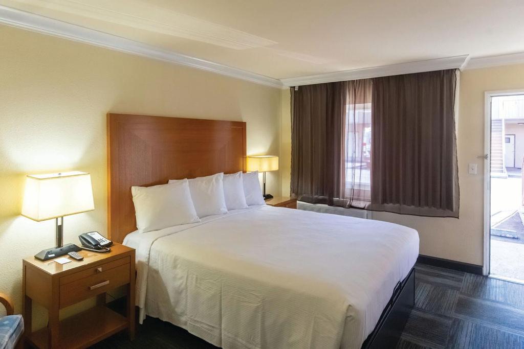 King Room - Photo 11
