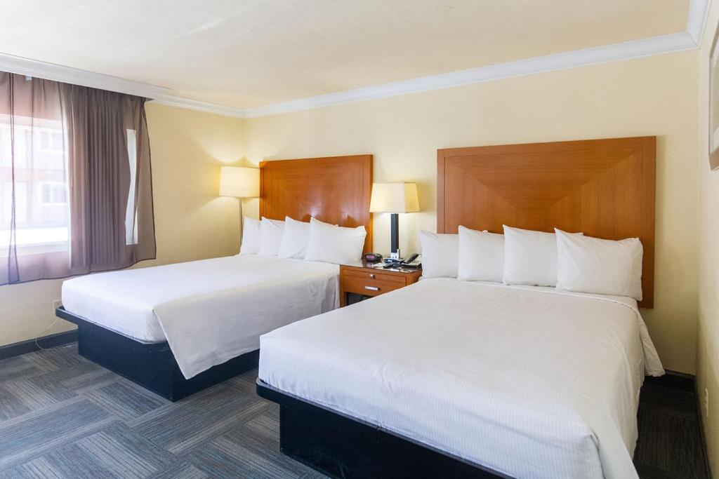 Queen Room with Two Queen Beds - Photo 14