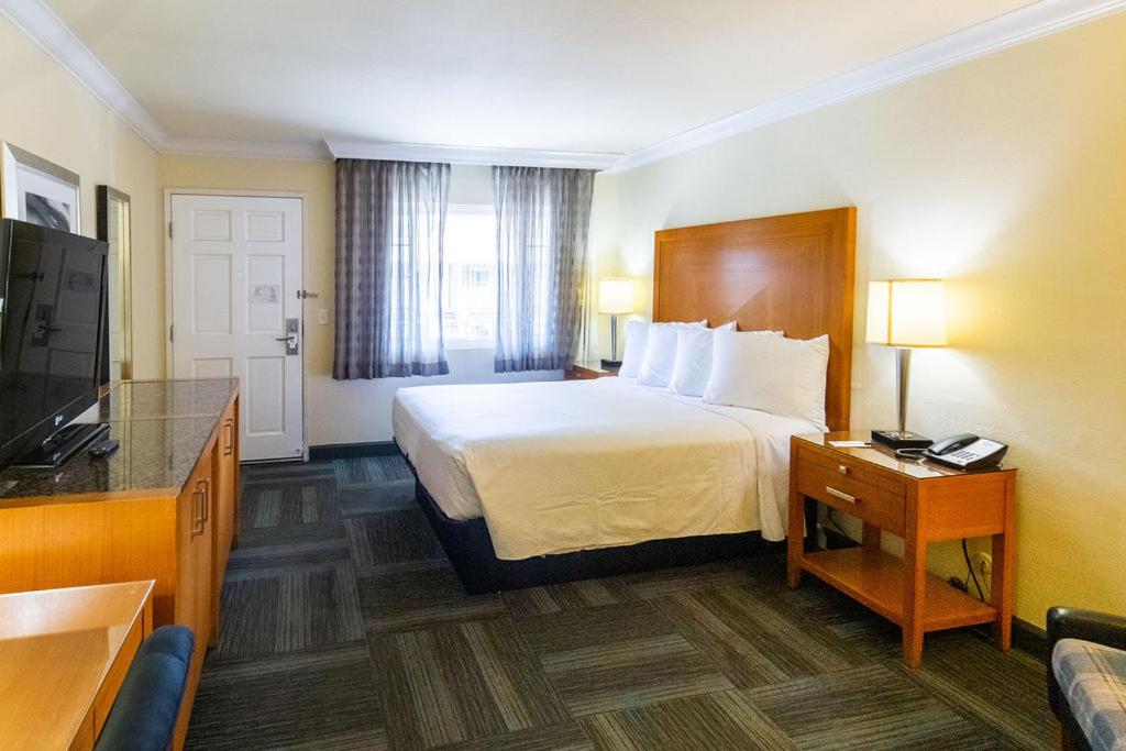King Room - Photo 1