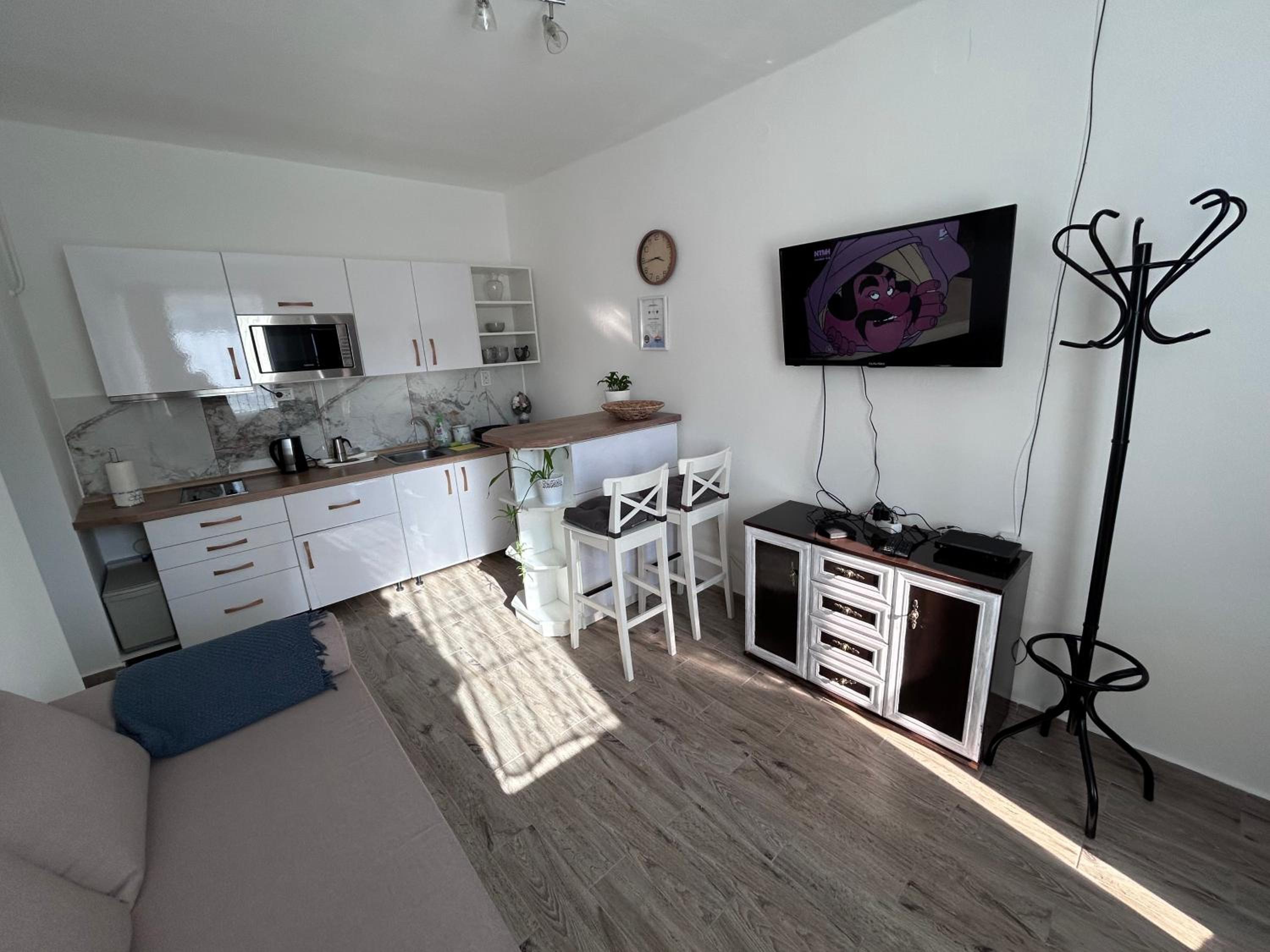 One-Bedroom Apartment photo 2