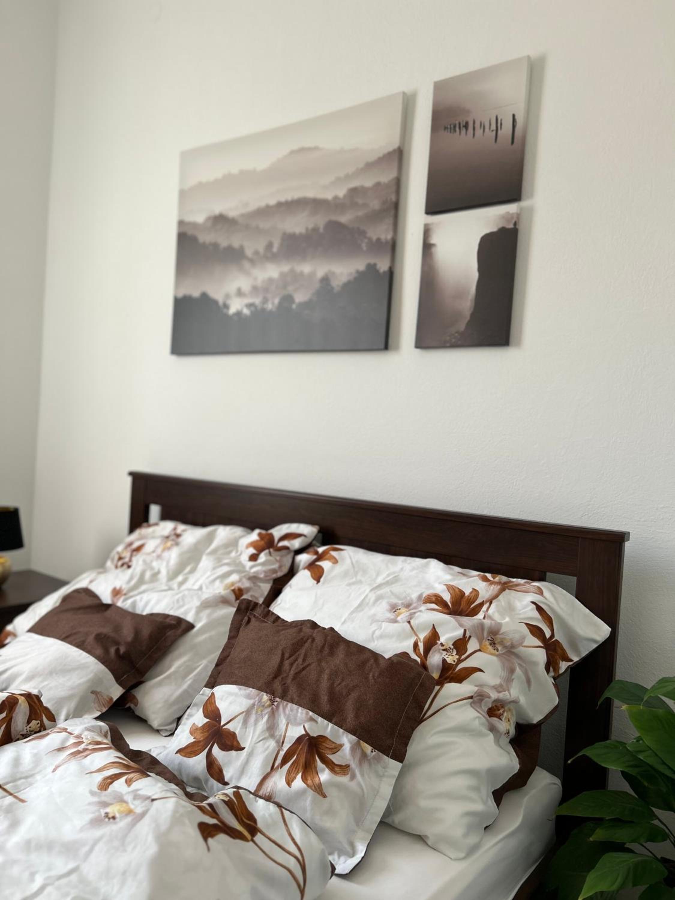 One-Bedroom Apartment photo 3