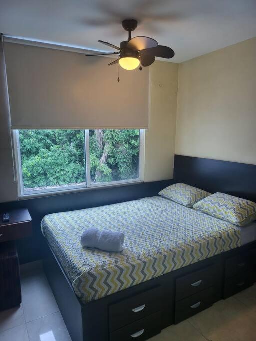 Two-Bedroom Apartment photo 2