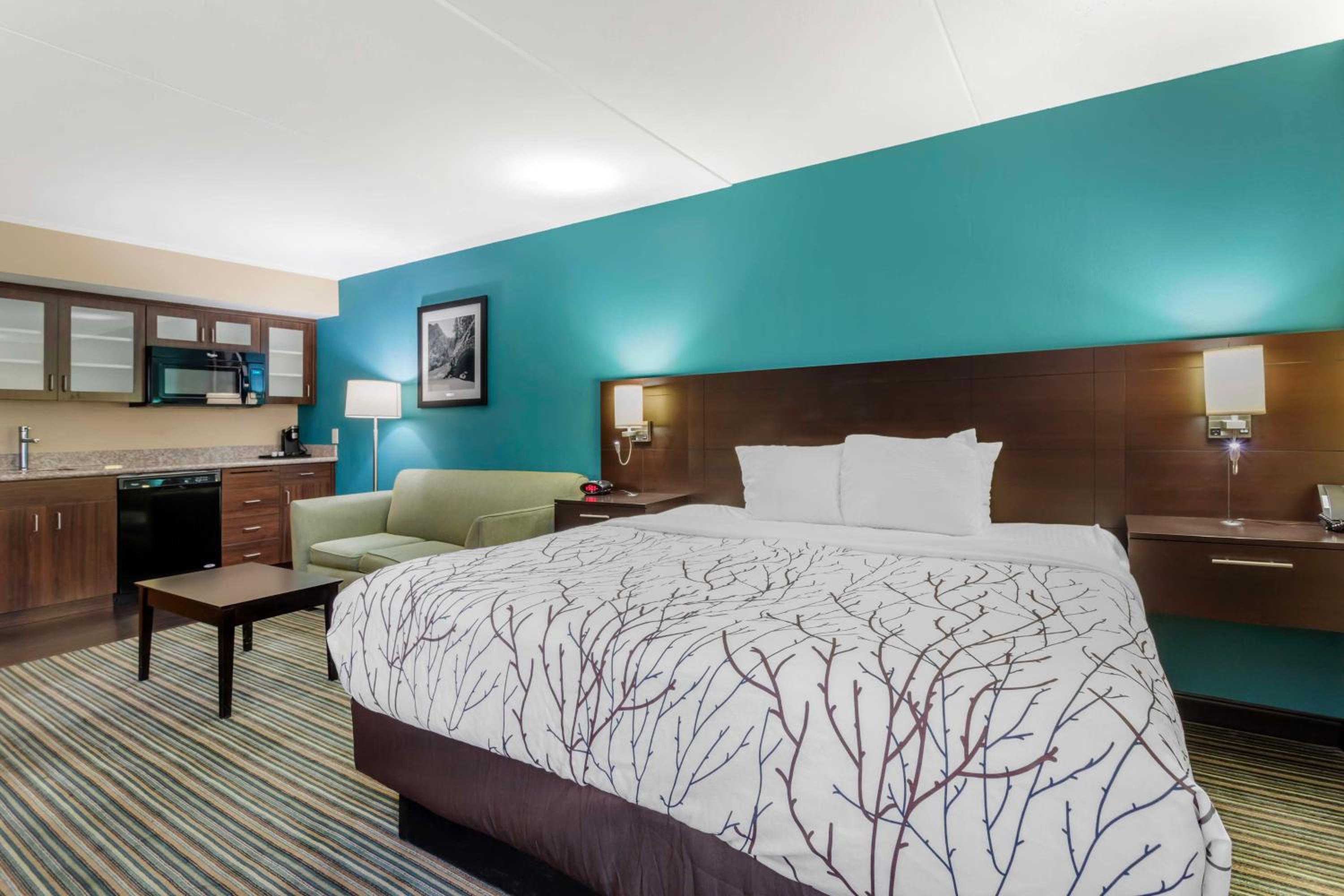 King Suite - Non-Smoking - Photo 1