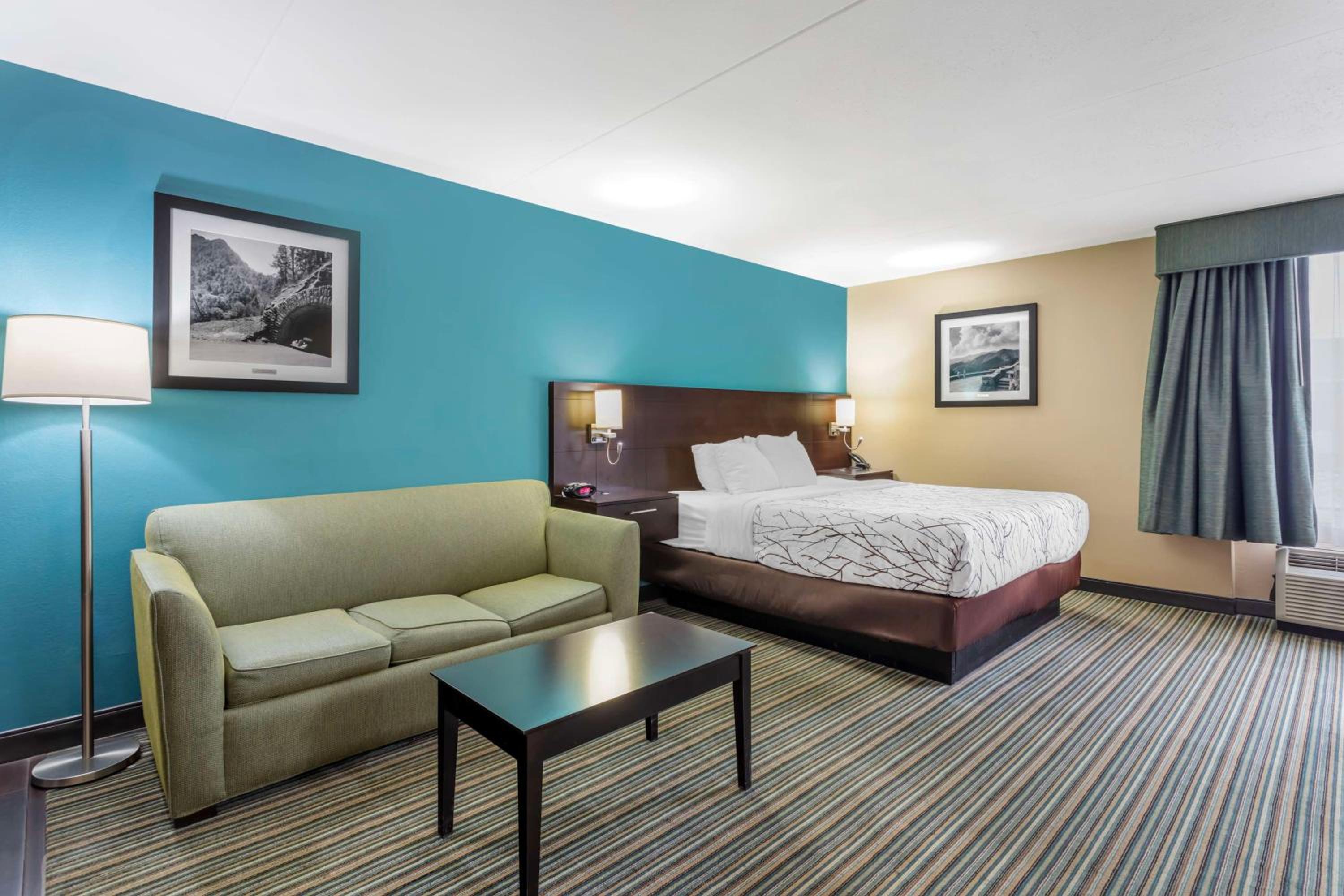 King Suite - Non-Smoking - Photo 4