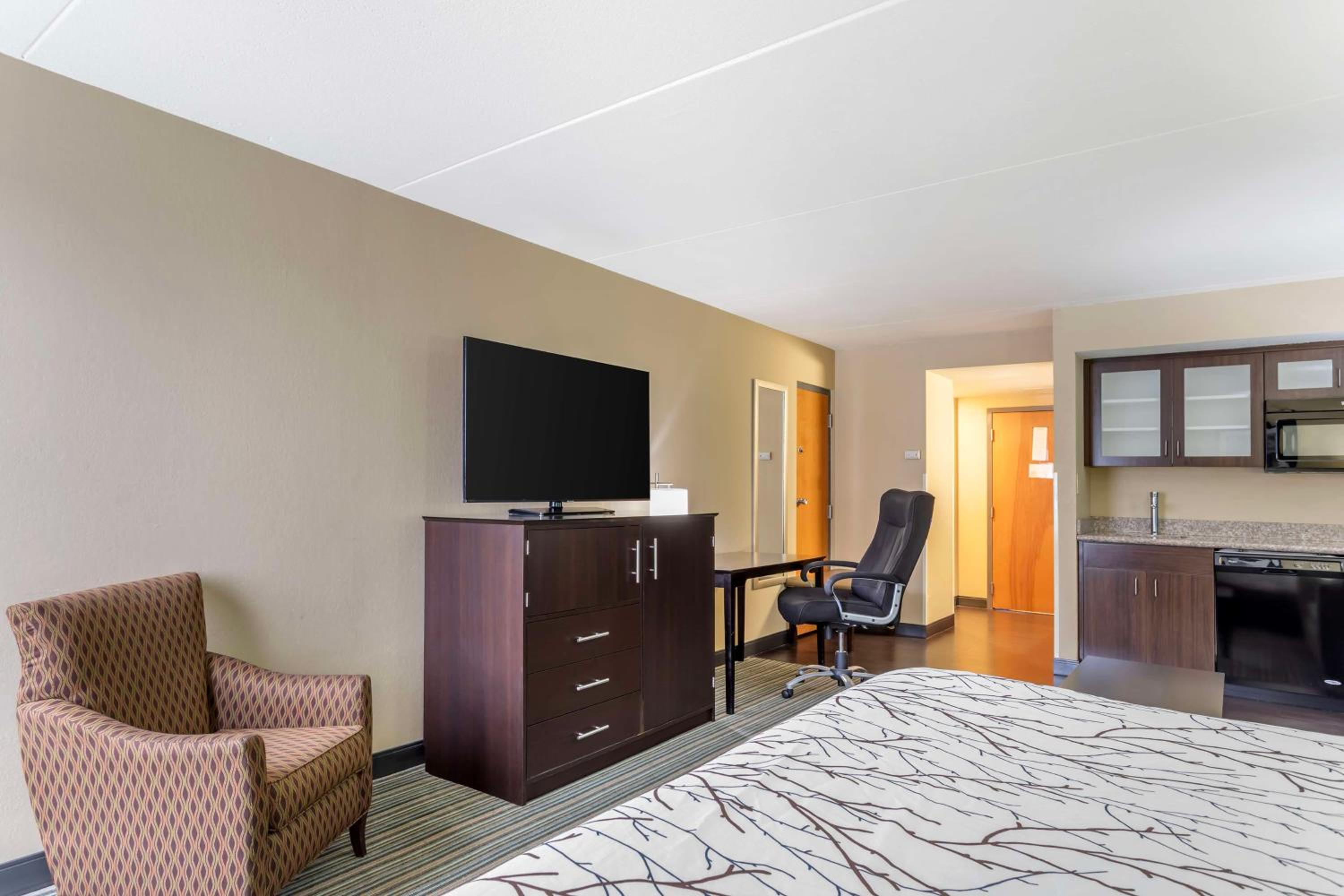 King Suite - Non-Smoking - Photo 5