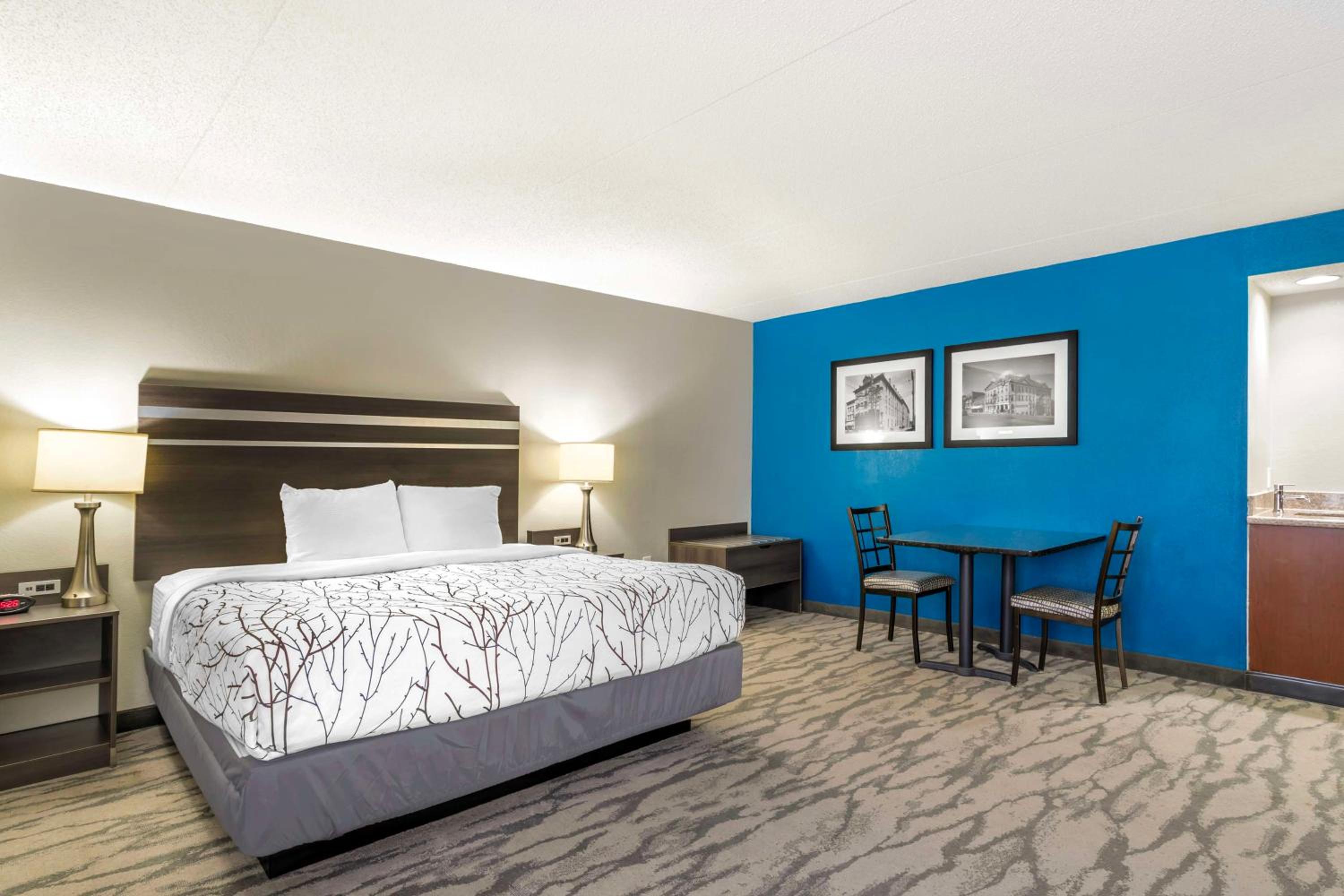 King Suite with Sofa Bed - Non-Smoking - Photo 1