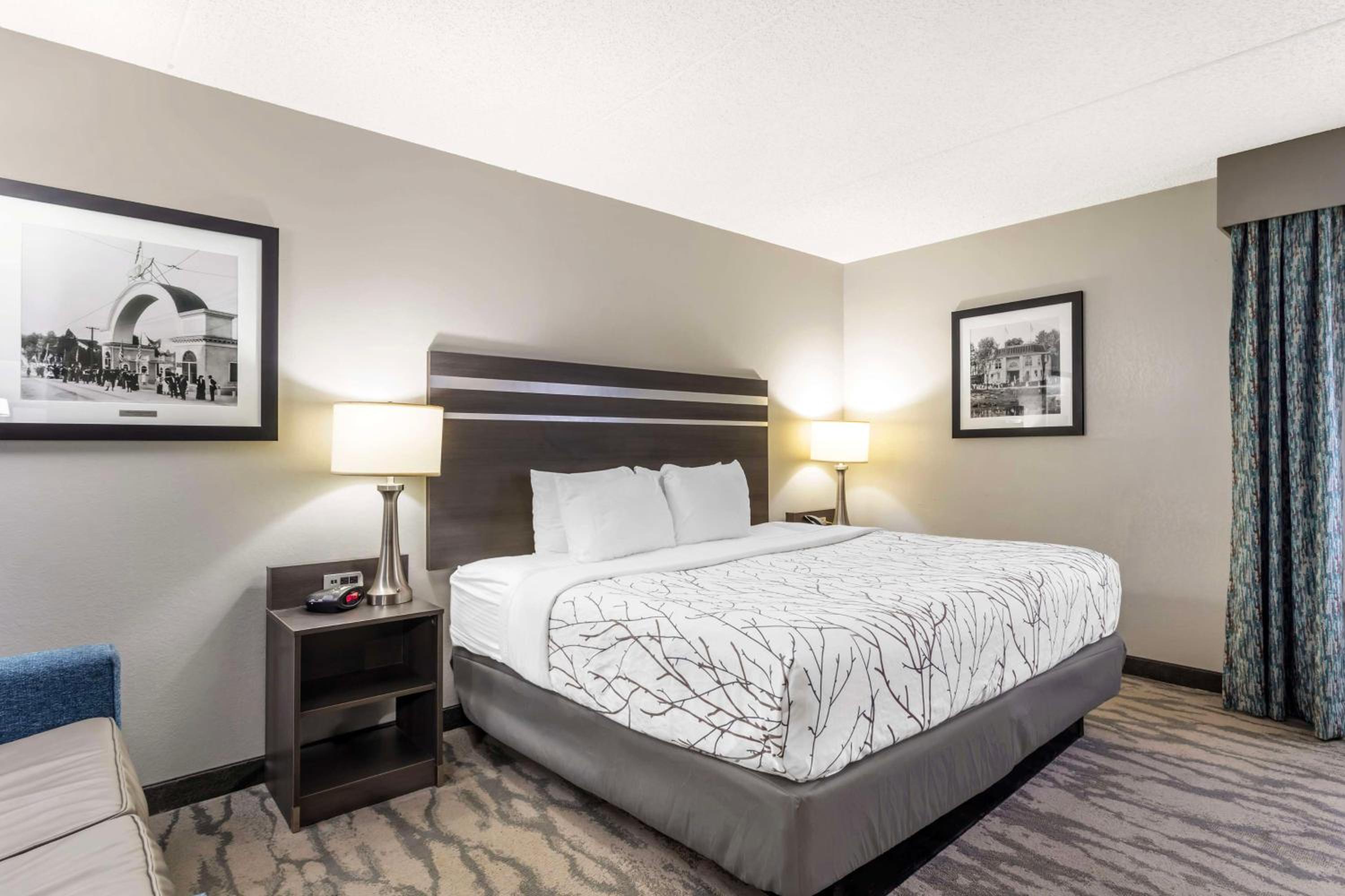 King Room with Roll-in Shower - Mobility Accessible/Non-Smoking - Photo 3