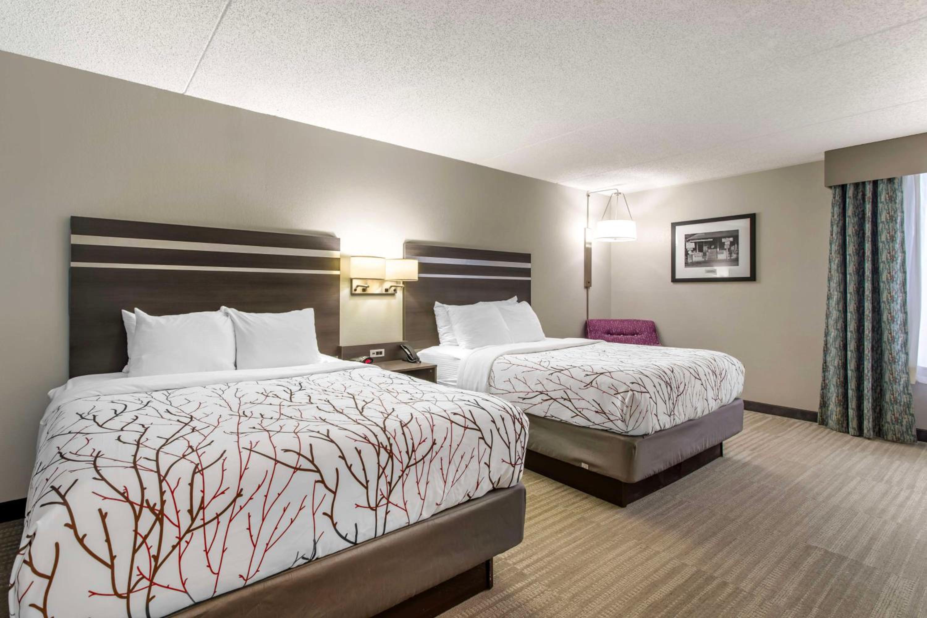 Large Queen Room with Two Queen Beds - Non-Smoking - Photo 1