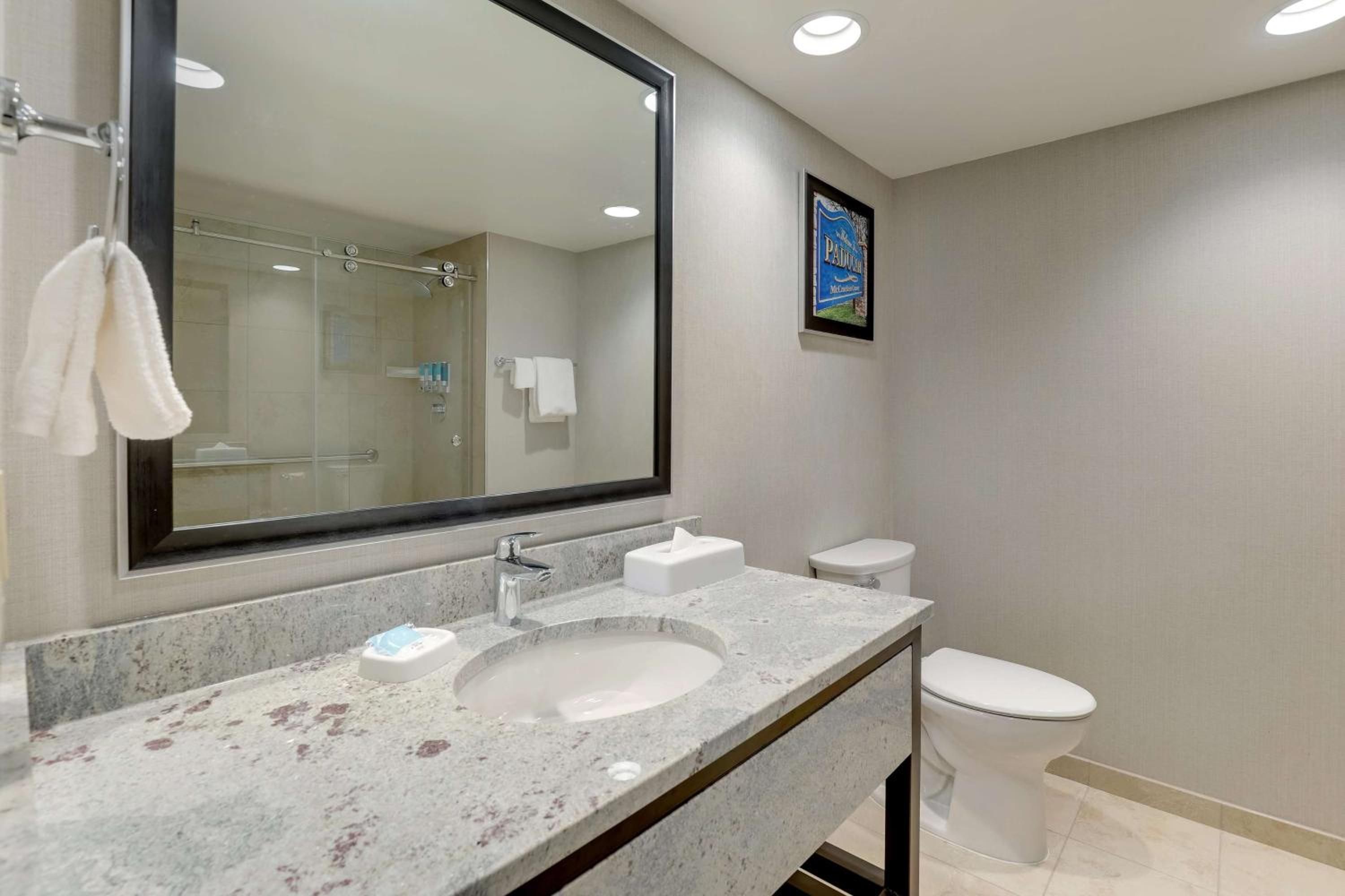 Deluxe King Room - Photo 3