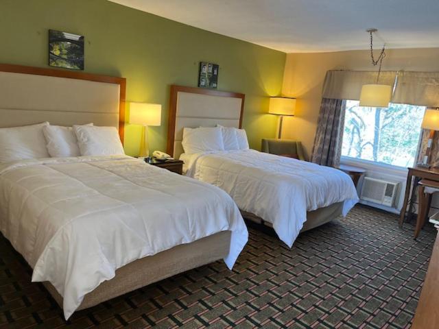 Double Room 2 Beds Non-Smoking - Photo 1