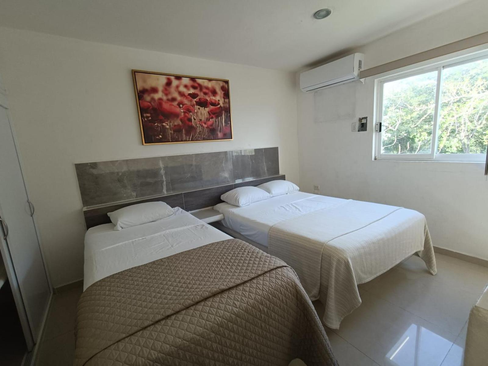 1 Bedroom Apartment - Photo 13