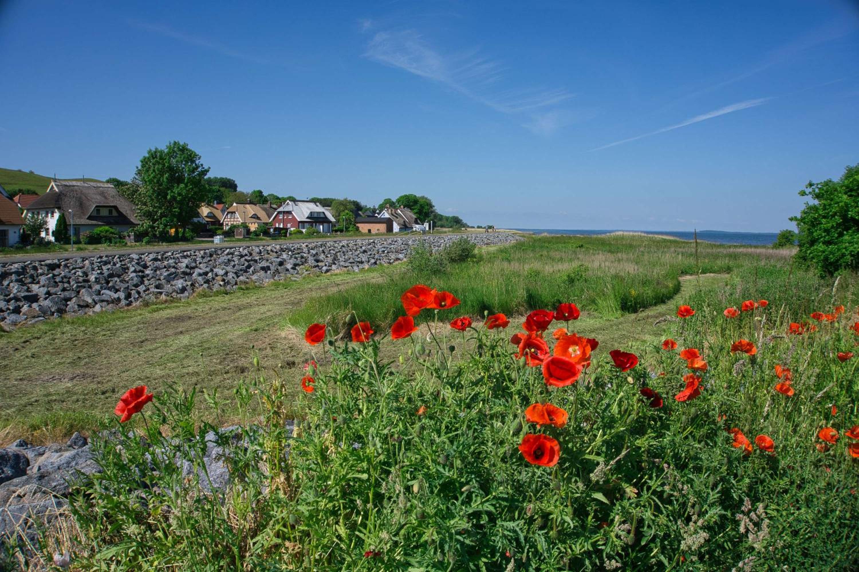 Holiday Home photo 3