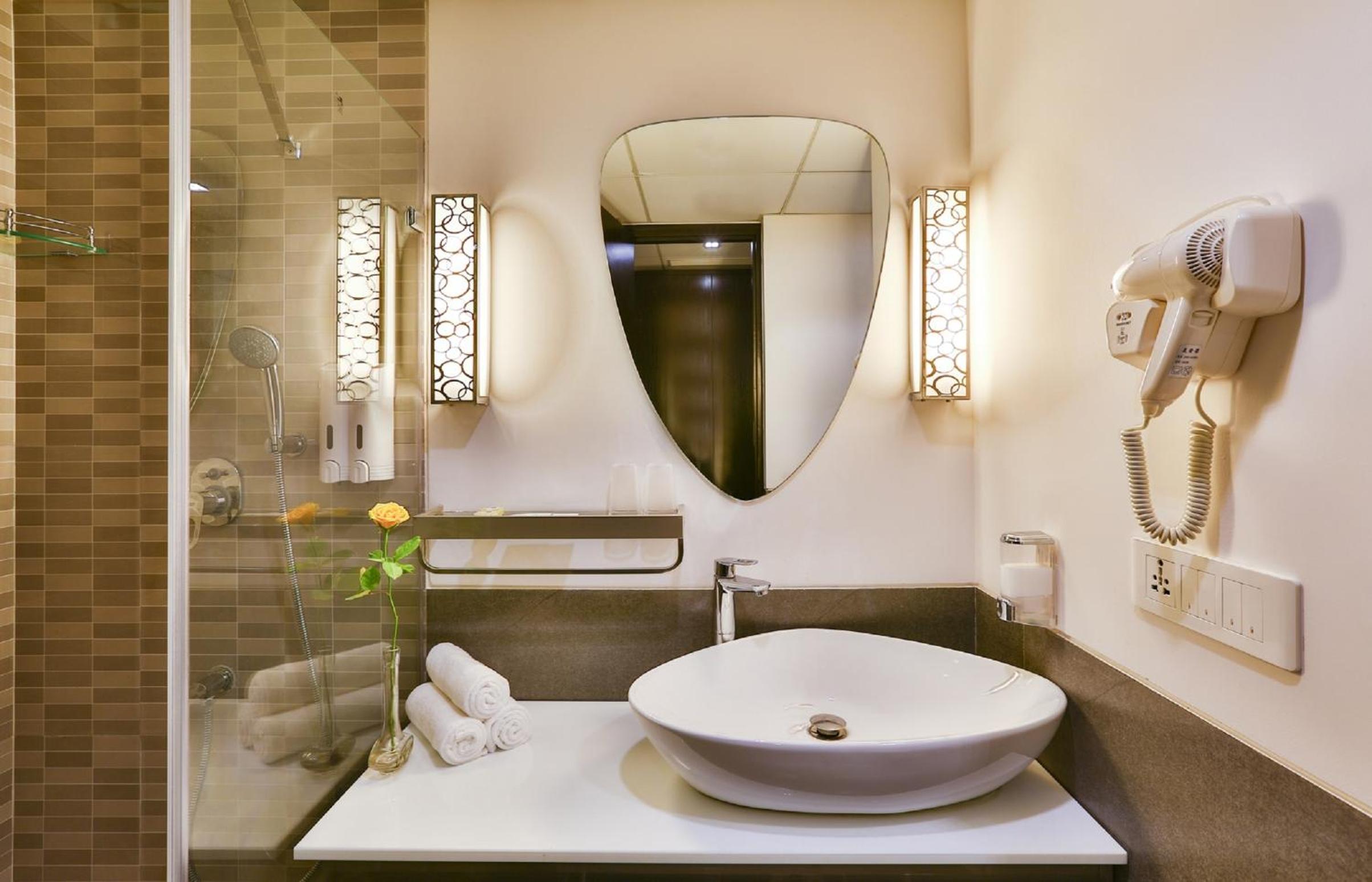 Deluxe Double or Twin Room photo 3
