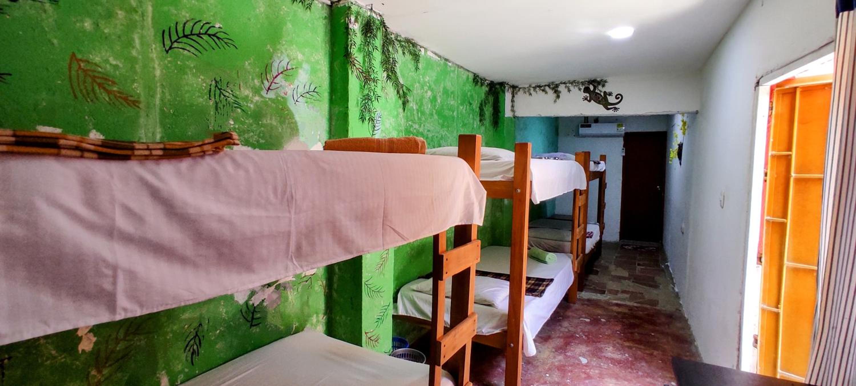 Mixed Dormitory Room photo 3