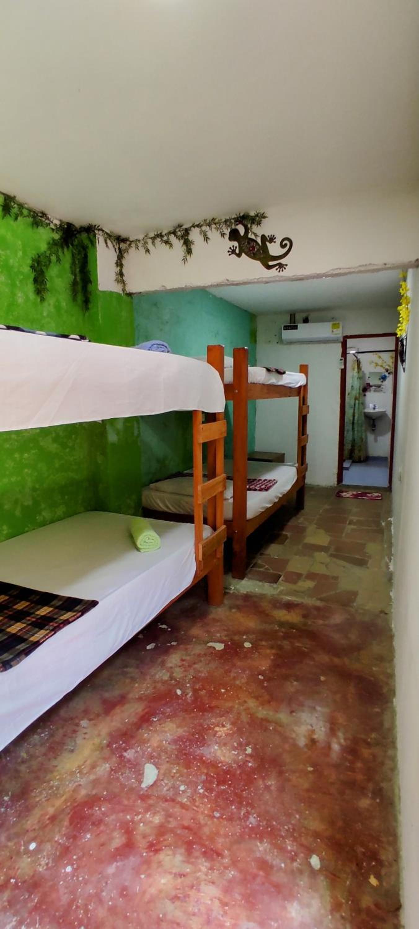 Mixed Dormitory Room photo 1