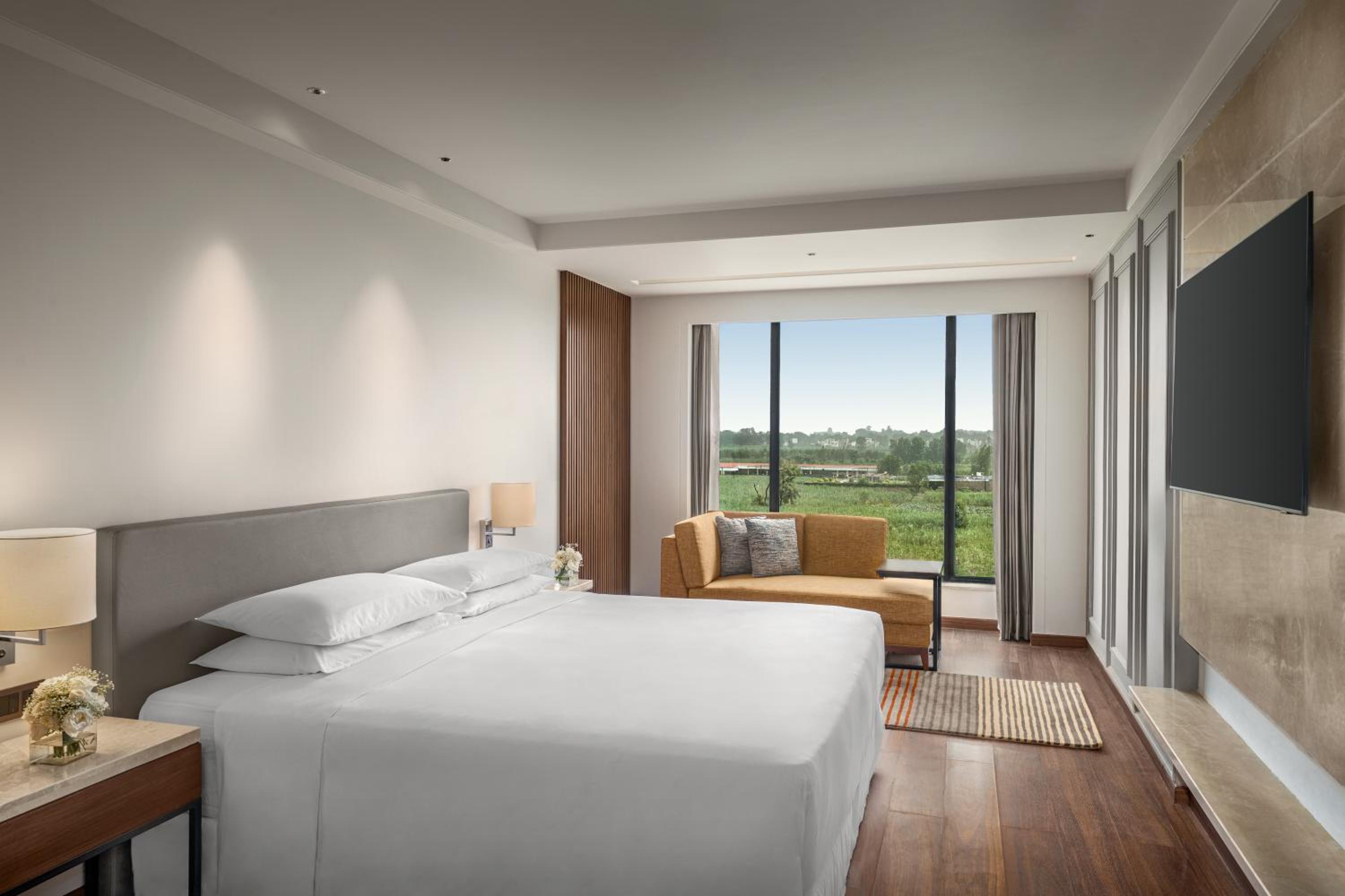 King Room photo 1