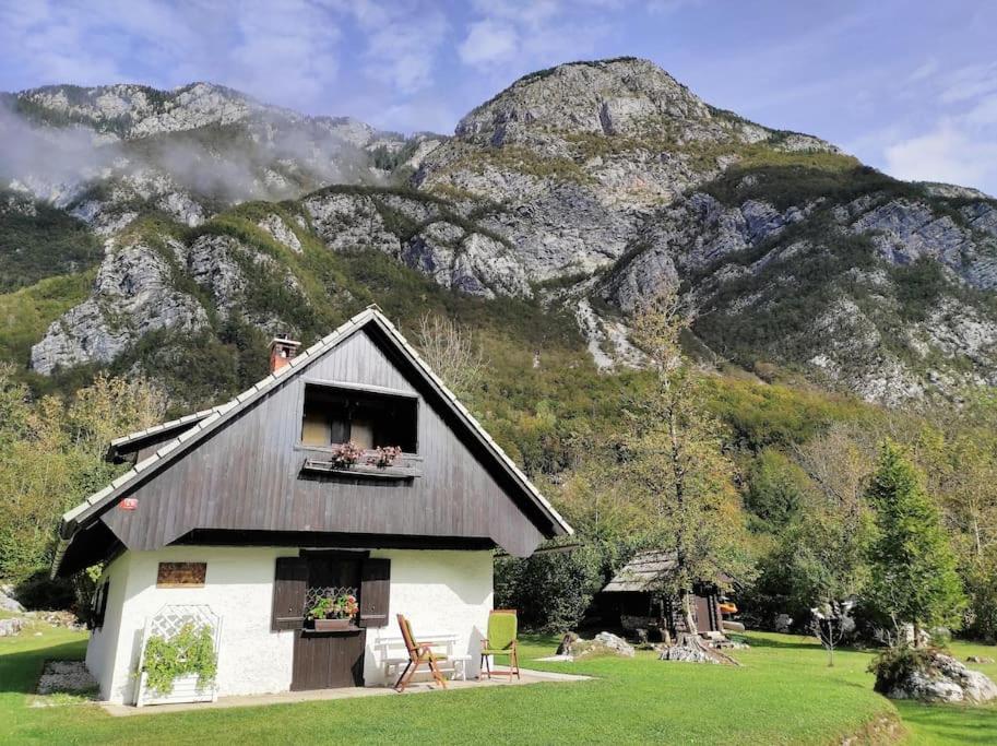 Three-Bedroom Chalet photo 1
