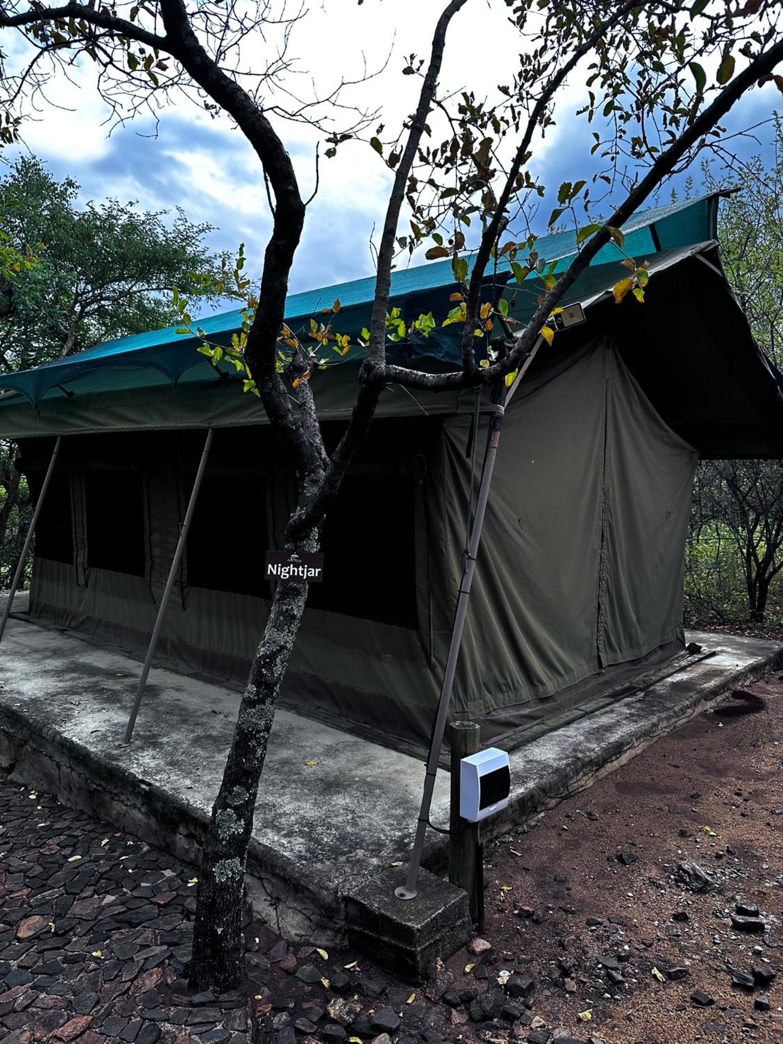 Tent photo 2