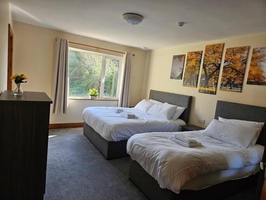 Two-Bedroom House photo 3