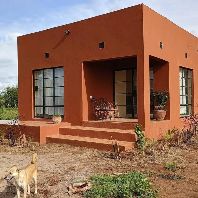 One-Bedroom House photo 2