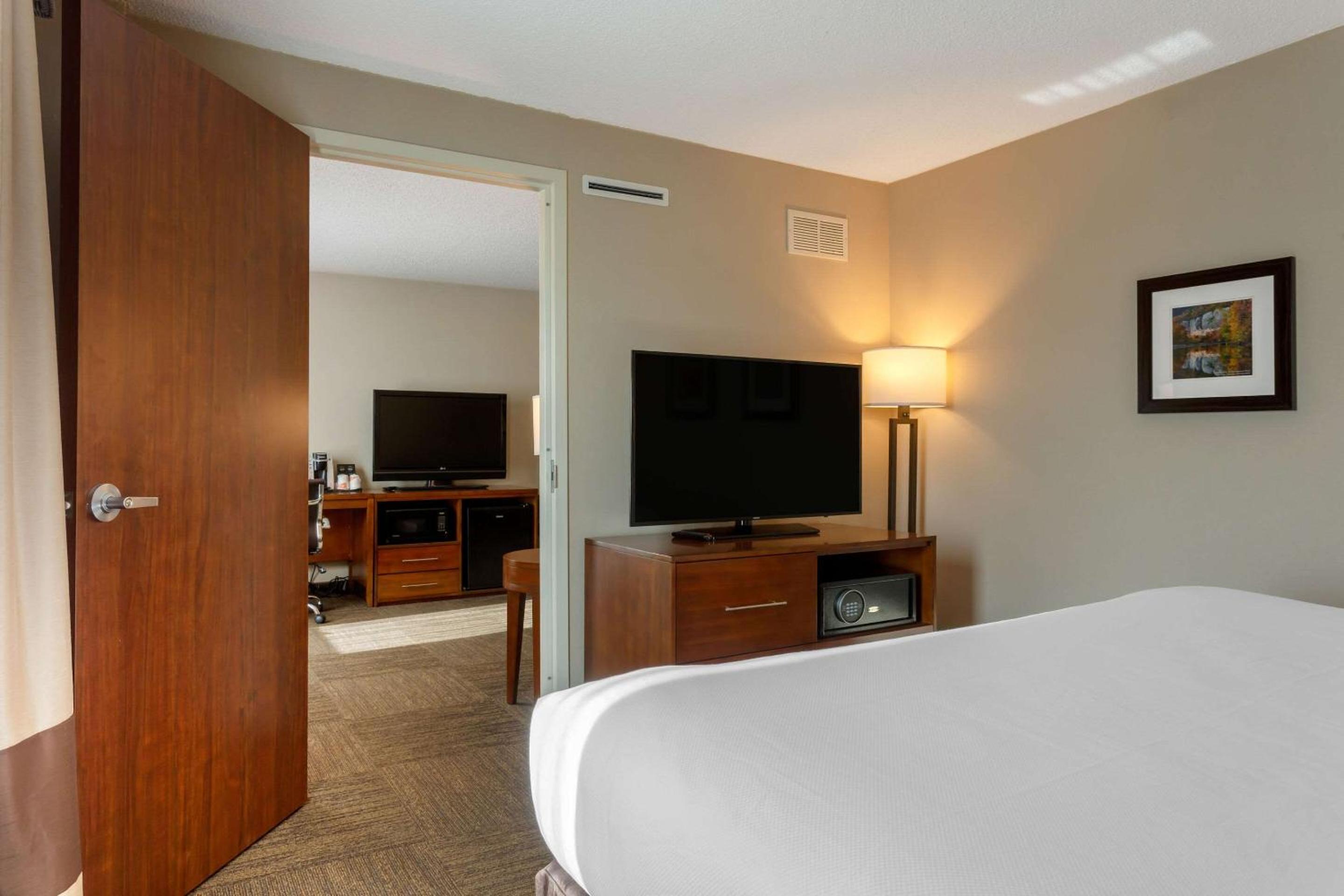 King Suite with Sofa Bed - Non-Smoking - Photo 3