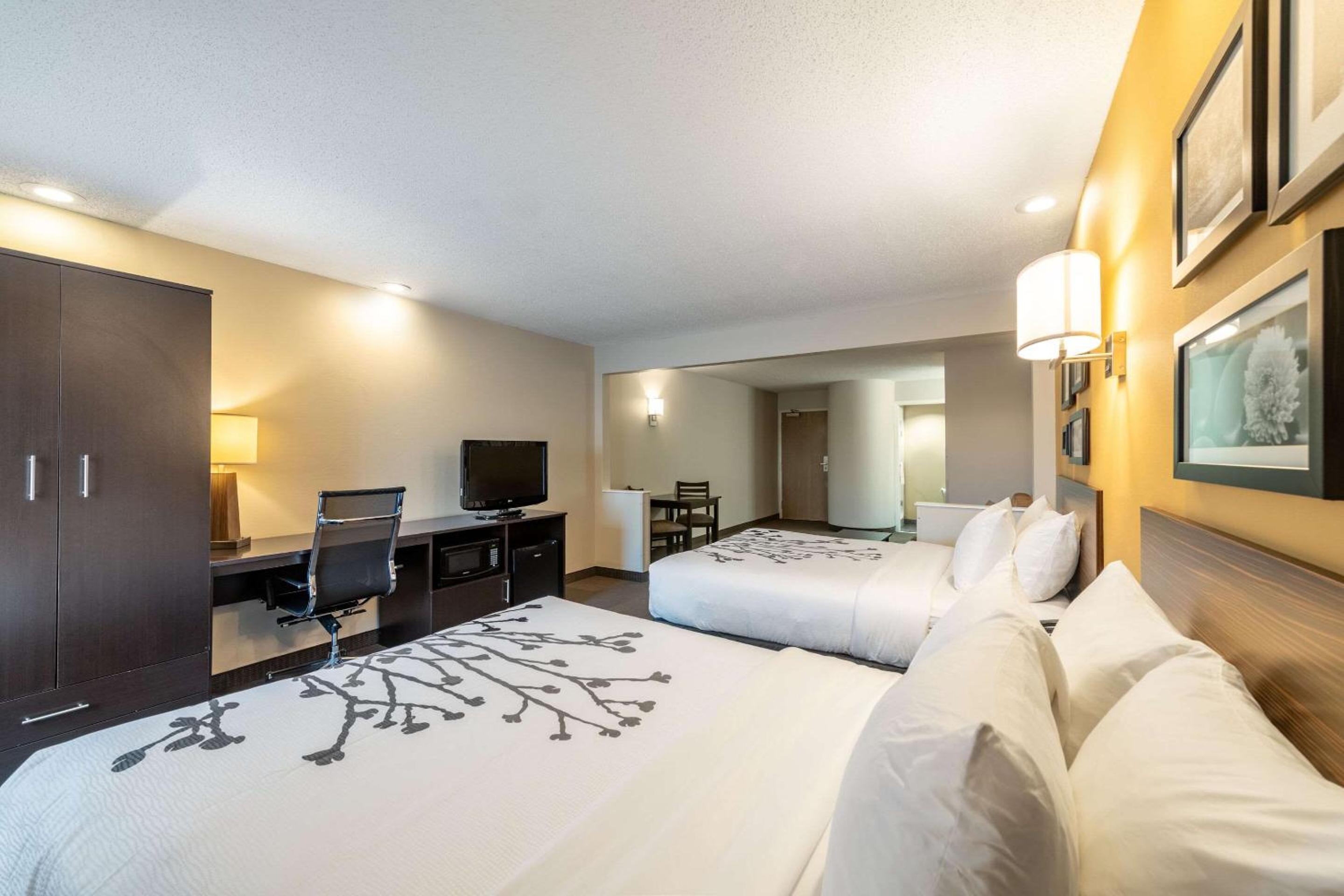 Queen Suite with Two Queen Beds - Non-Smoking - Photo 3