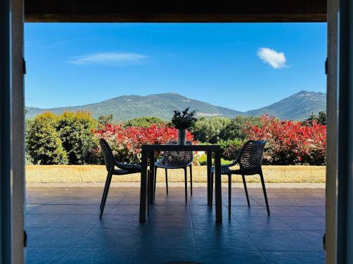 Studio with Mountain View photo 3