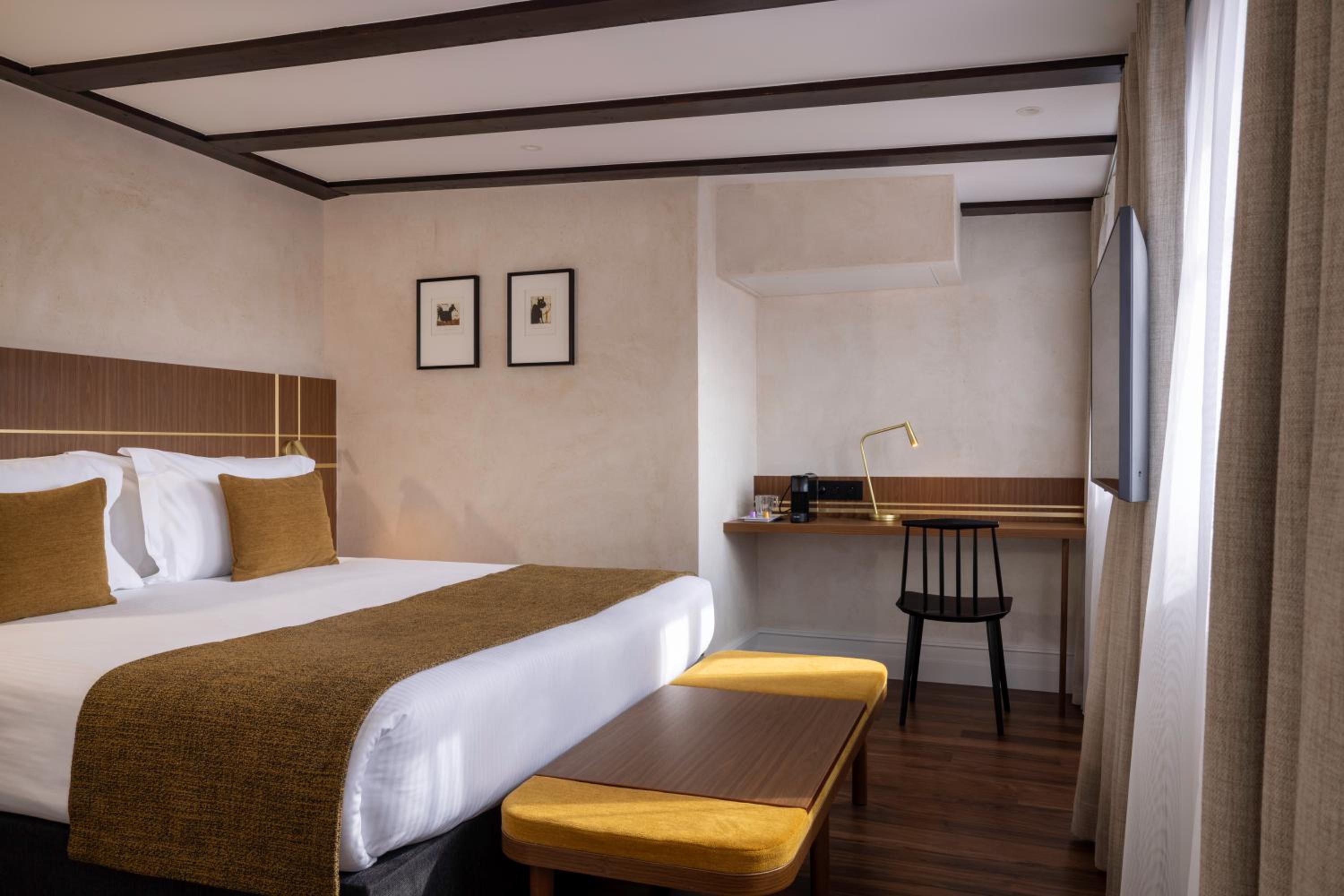Suite - Photo 5