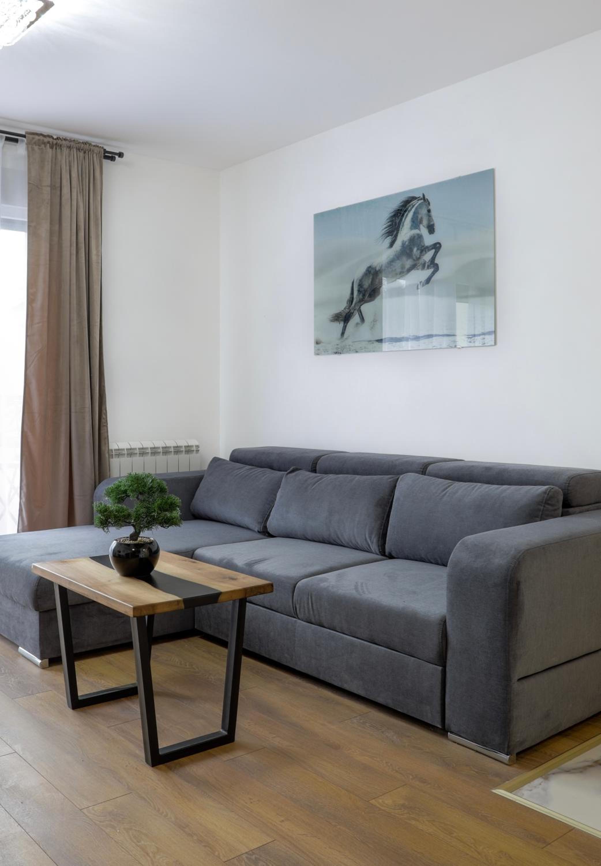 One-Bedroom Apartment photo 3