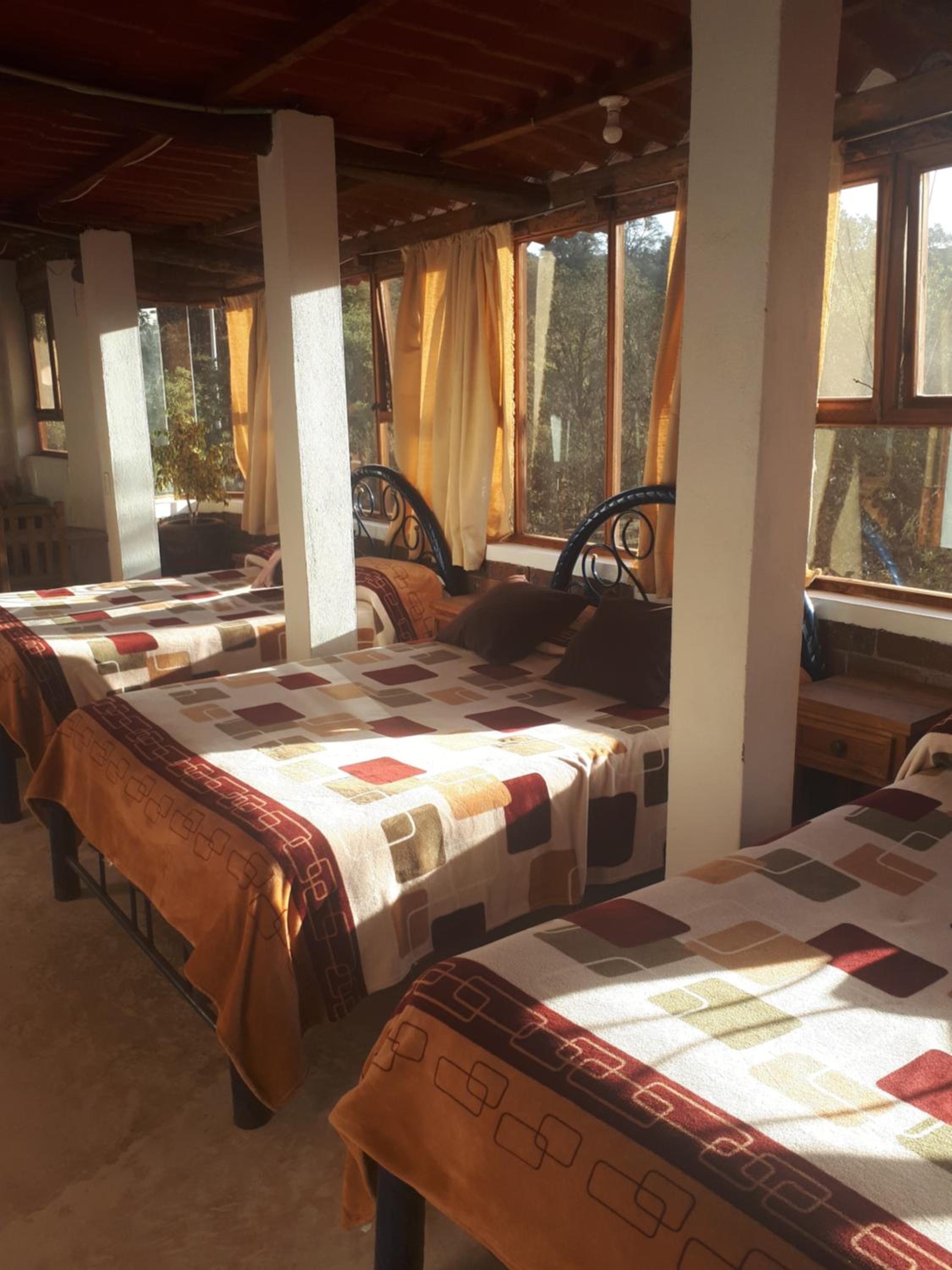 Family Suite - Photo 1