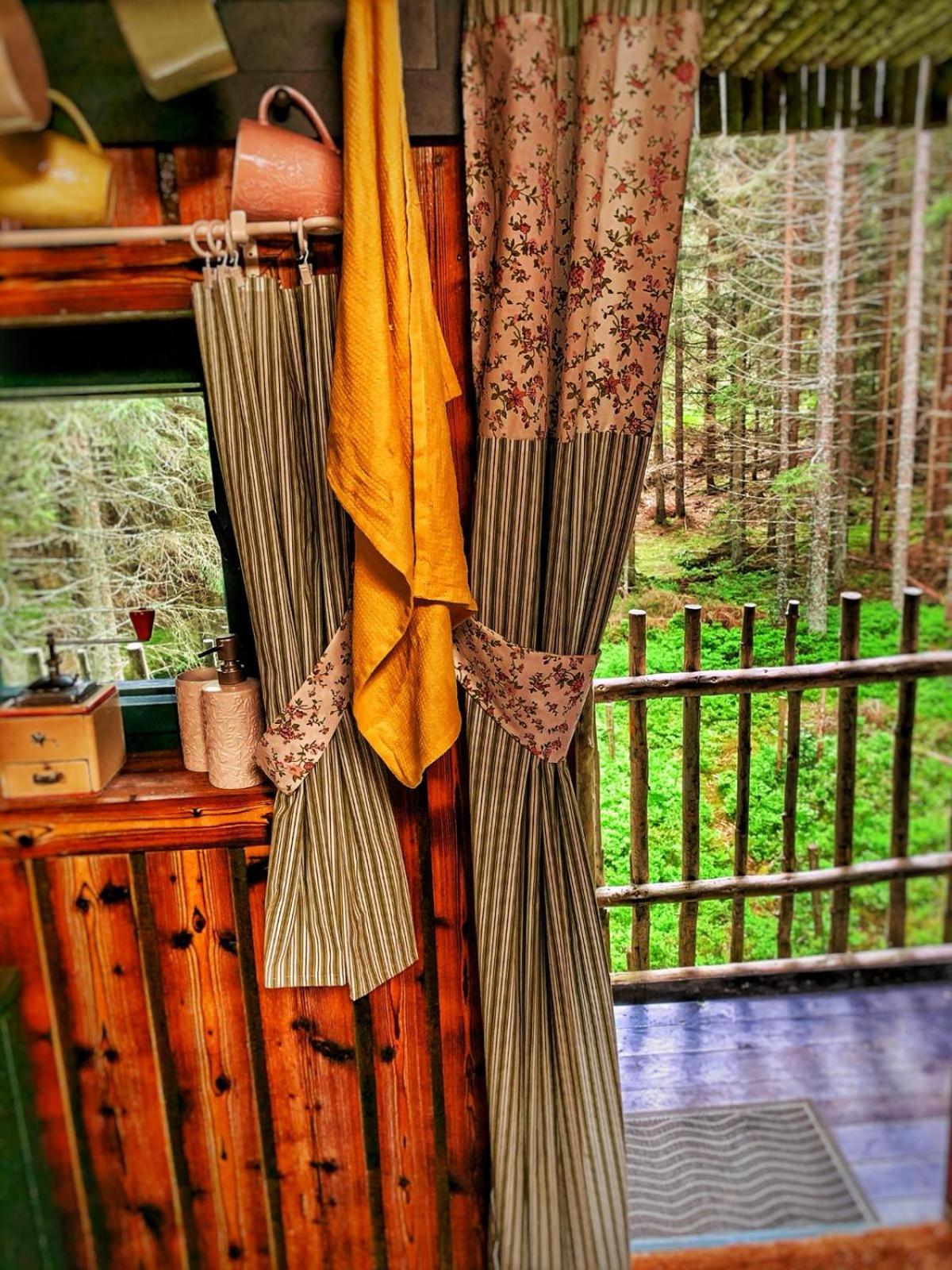 Tent photo 3