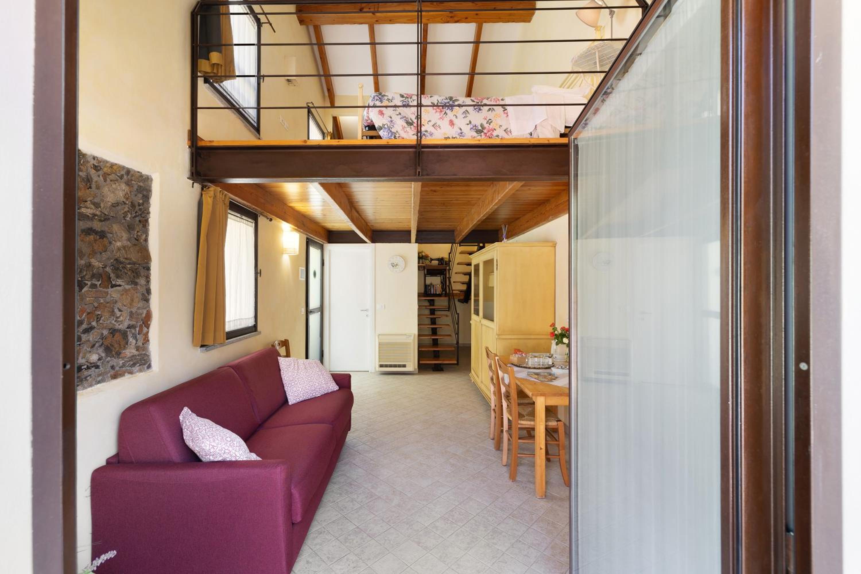 Studio with Terrace photo 1
